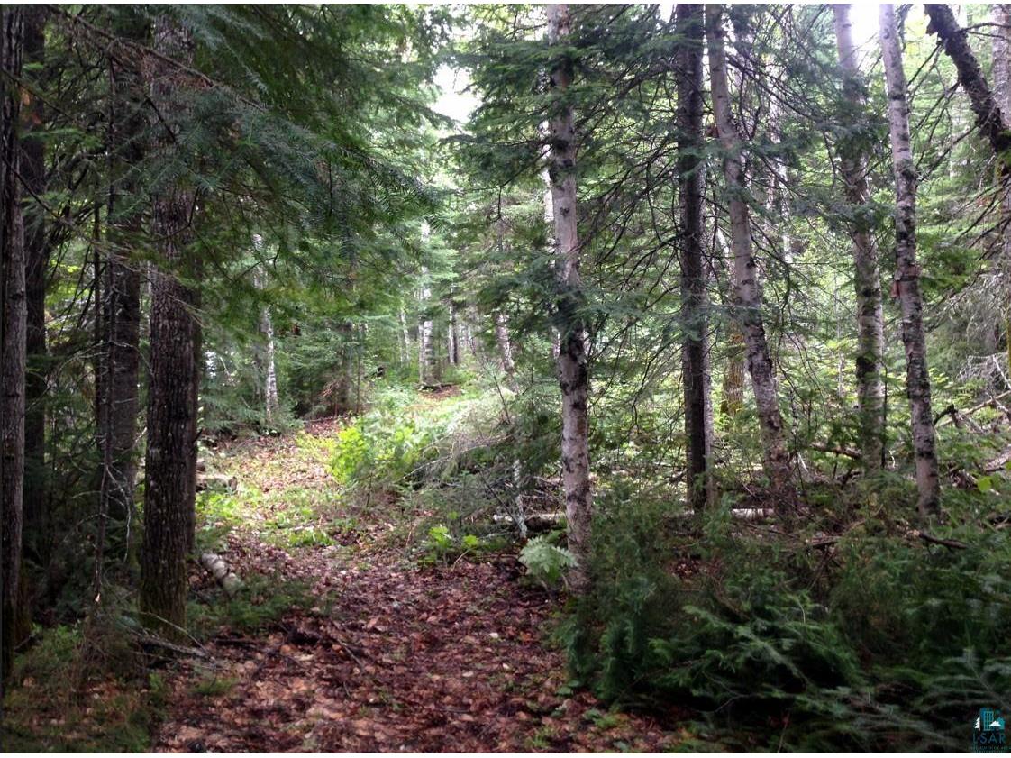 XXX General Grade, Crystal Bay, MN, 55603 MLS 6113928 Edina Realty