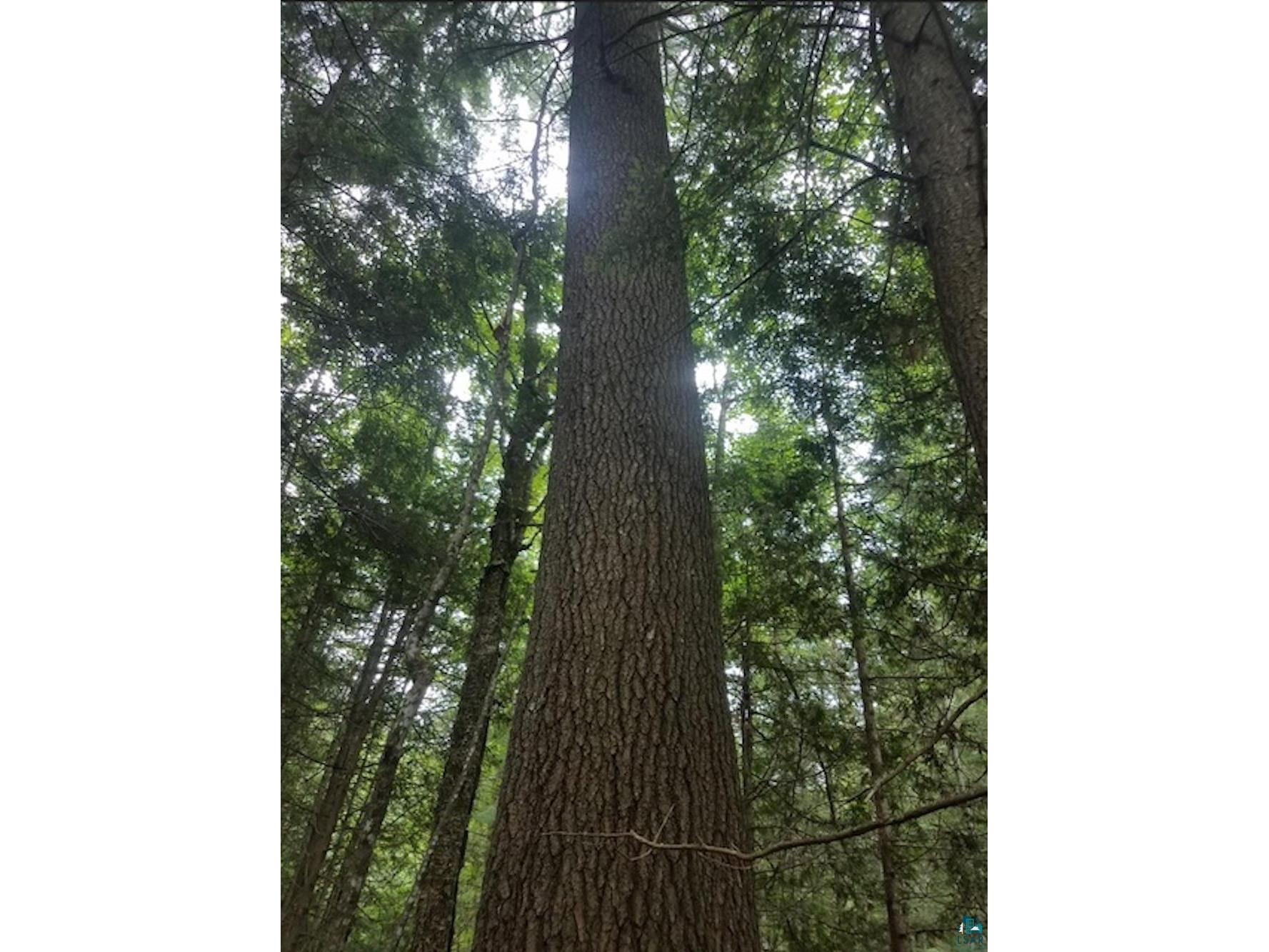 XXX General Grade, Crystal Bay, MN, 55603 MLS 6113928 Edina Realty