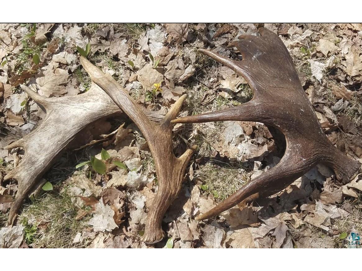 XXX General Grade, Crystal Bay, MN, 55603 MLS 6113928 Edina Realty