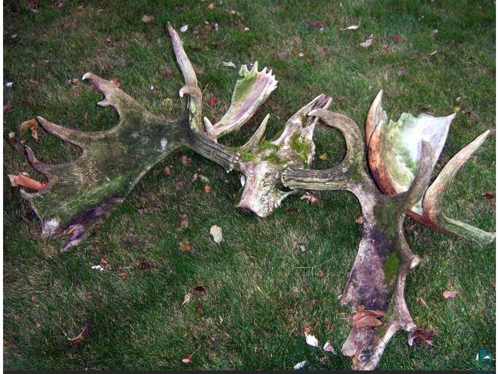 XXX General Grade, Crystal Bay, MN, 55603 MLS 6113928 Edina Realty