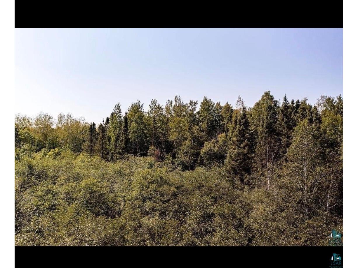 XXX Gleason Rd Esko MN 55810 6125739 image8