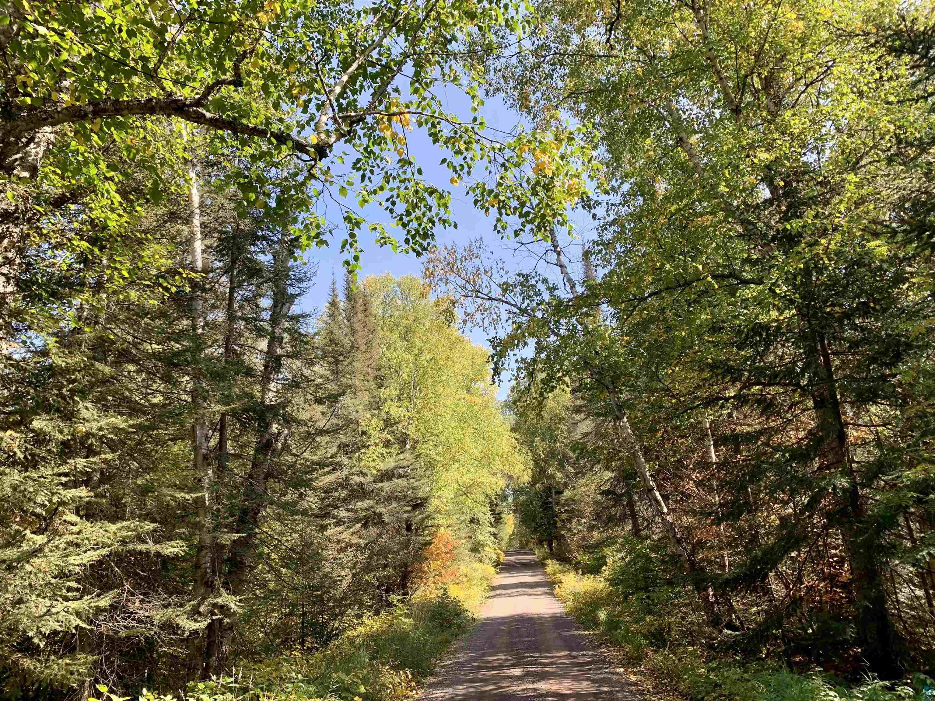 XXX Honeymoon Tr Lutsen MN 55612 6108969 image1