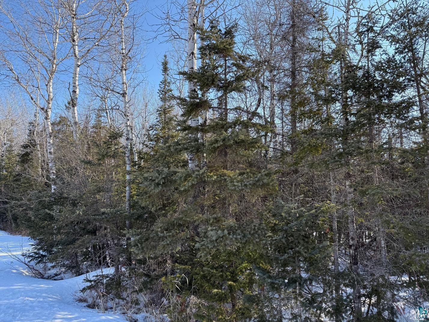 XXX Hwy 12 Two Harbors MN 55616 6124372 image11