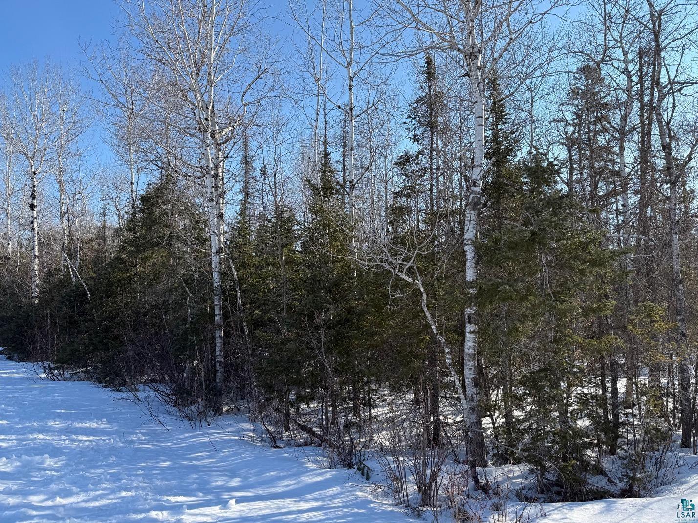 XXX Hwy 12 Two Harbors MN 55616 6124372 image12