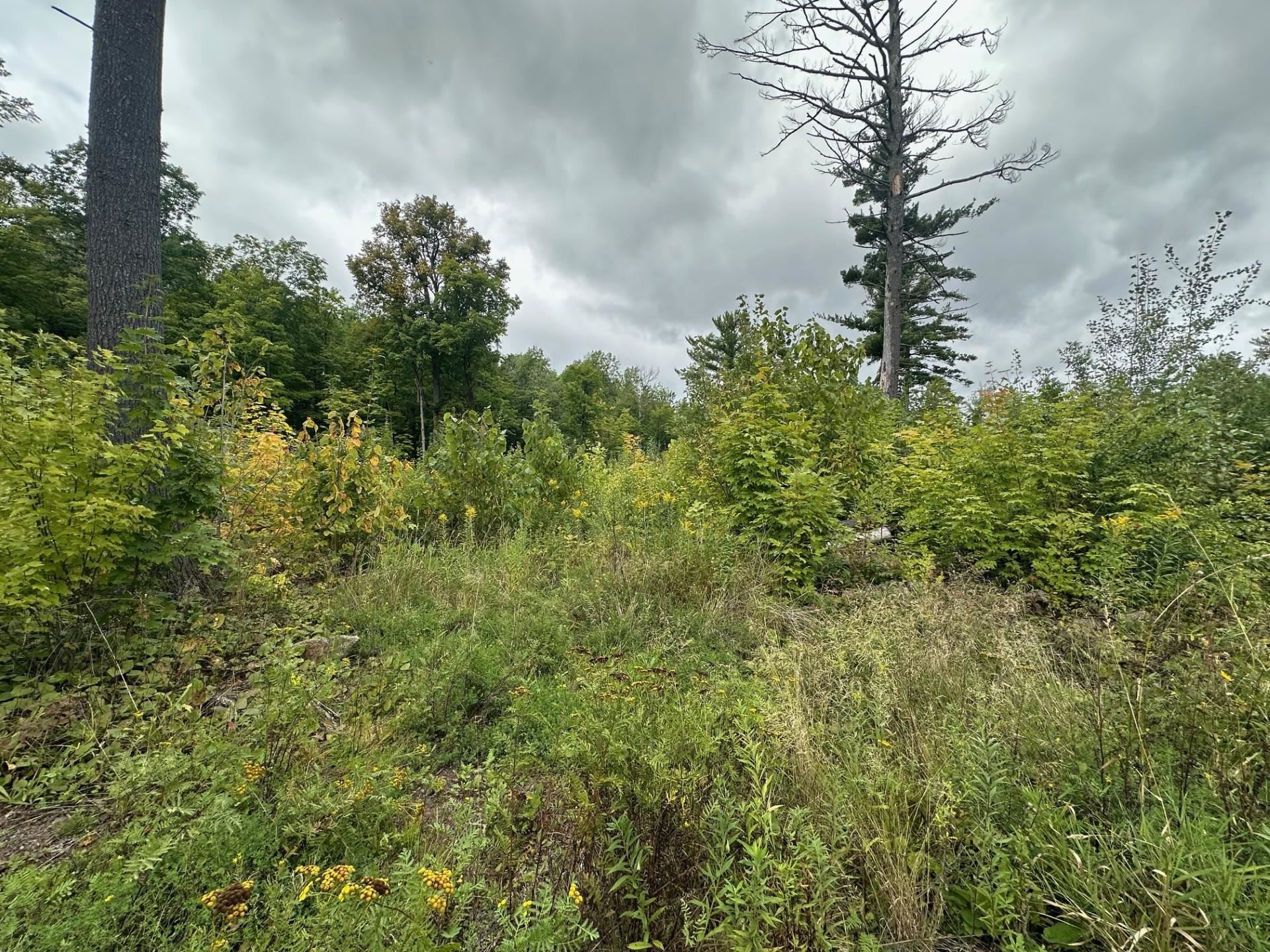 XXX Hwy 45 Cloquet MN 55720 6121736 image1