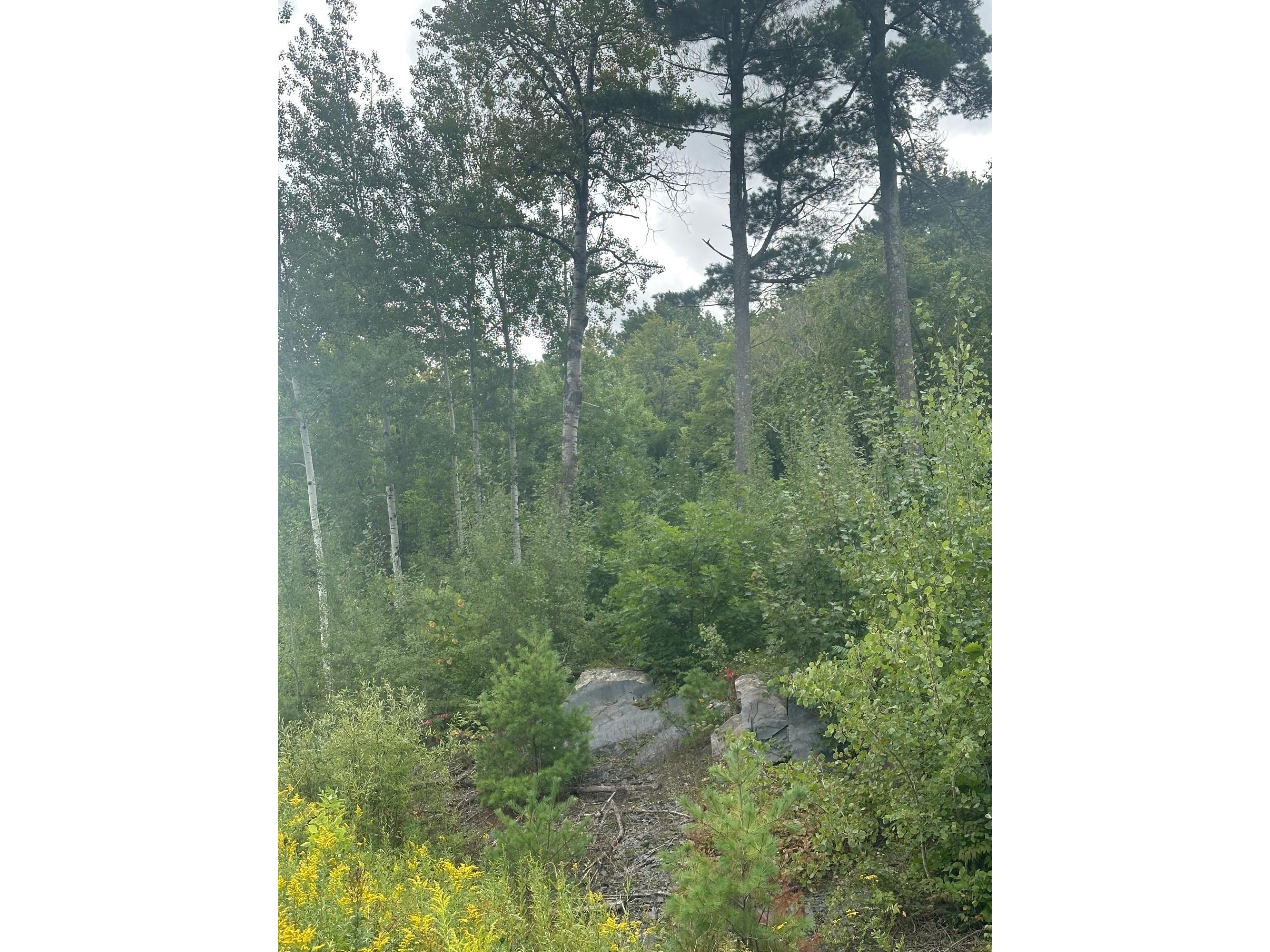 XXX Hwy 45 Cloquet MN 55720 6121736 image5