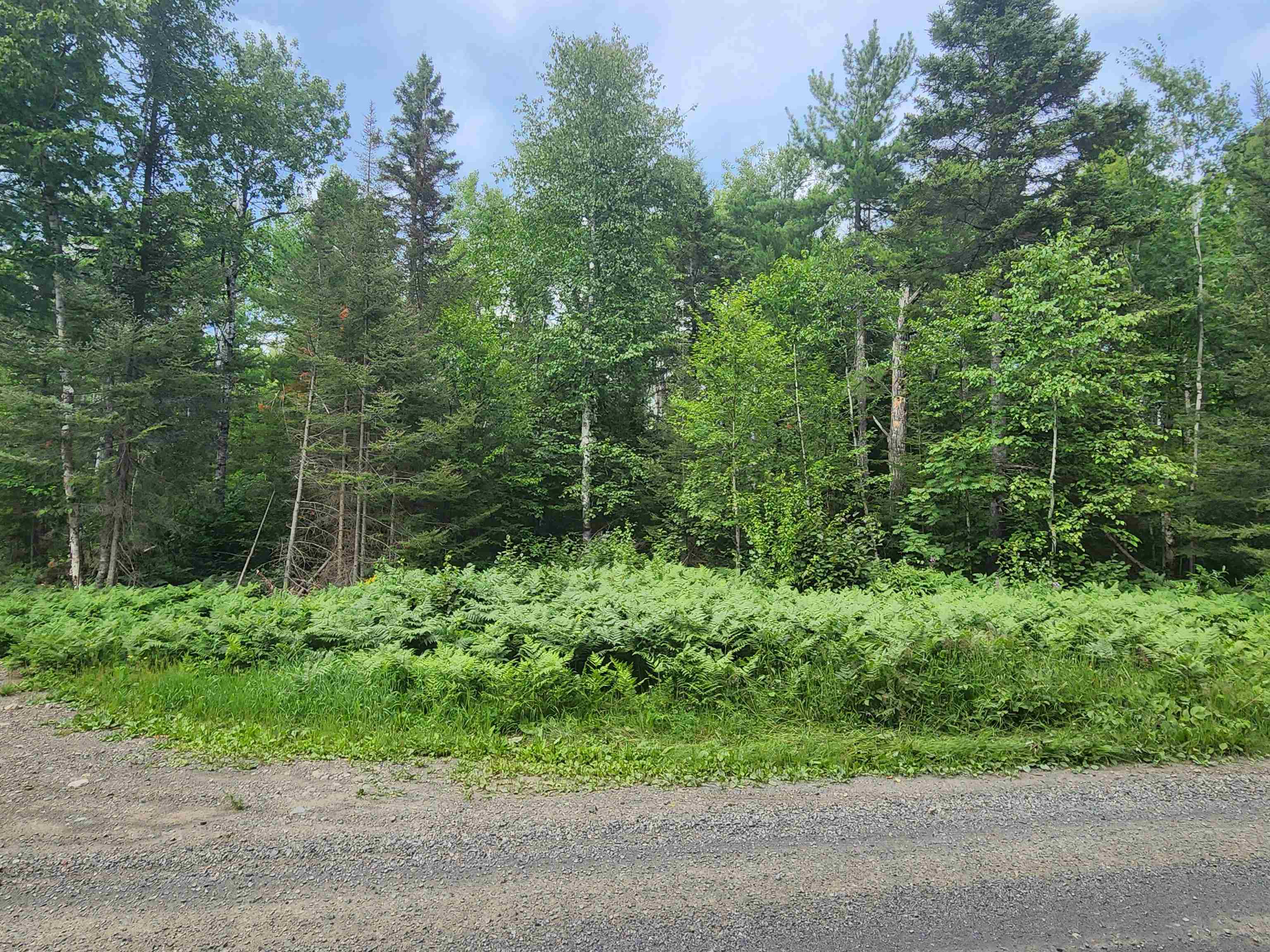 XXX Irish Creek Rd Hovland MN 55606 6121256 image1