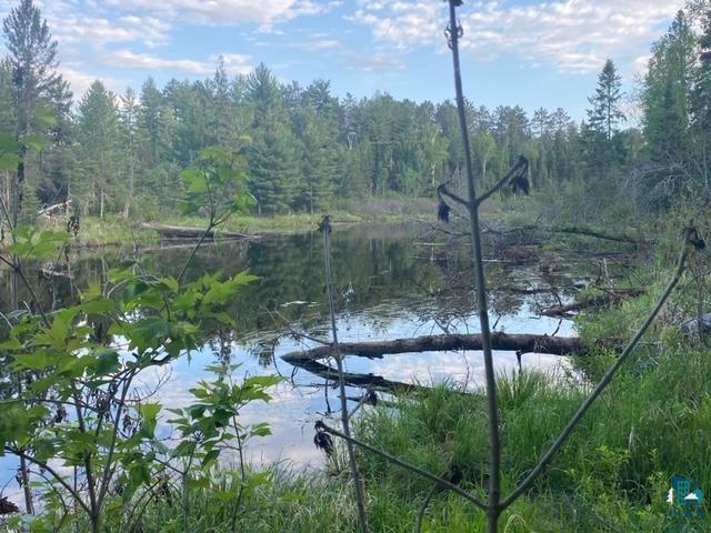 XXX Lane 51 Aurora MN 55705 - Partridge 6108153 image1