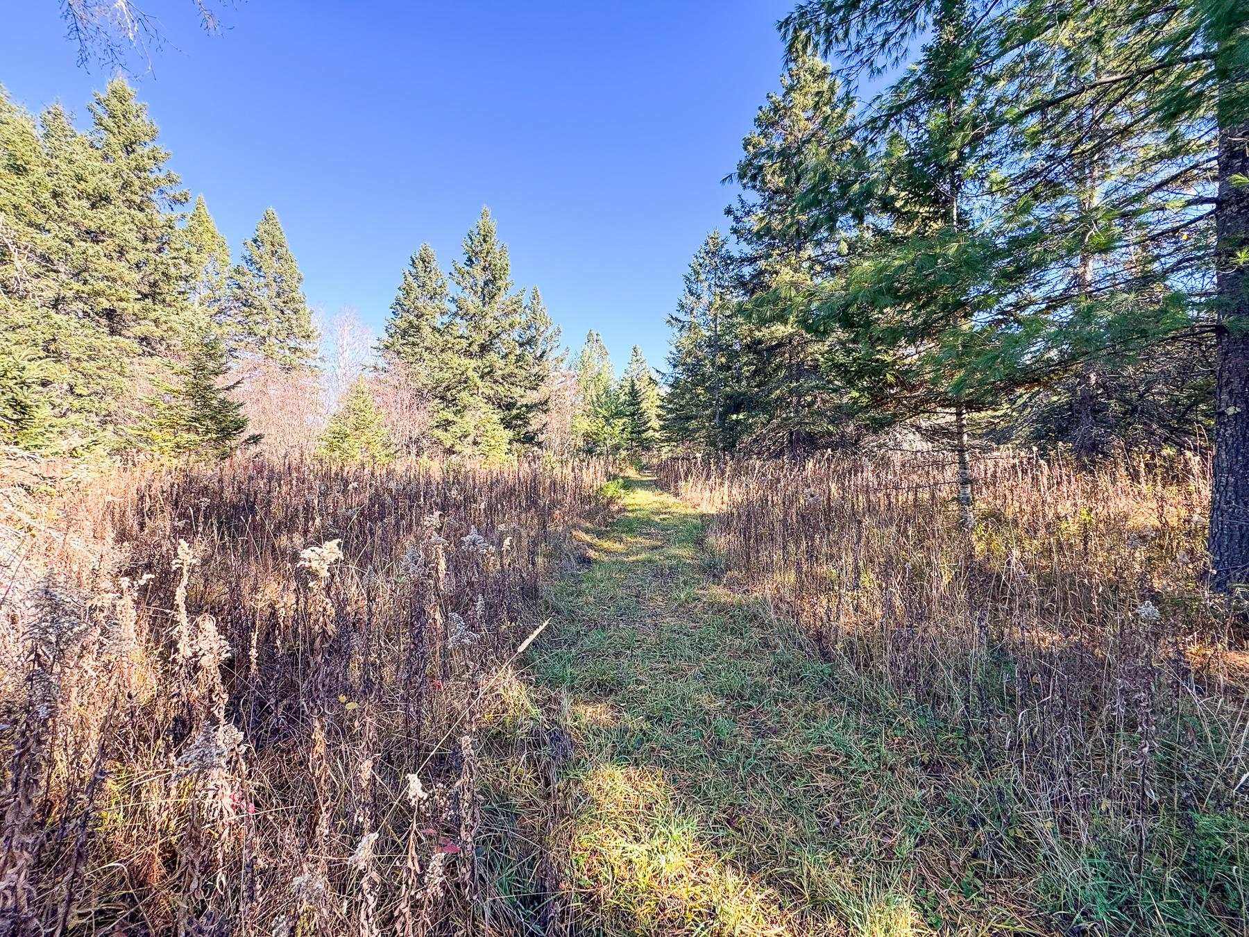 XXX Lenawee Rd Herbster WI 54844 - East Fork Cranberry River 6118678 image14