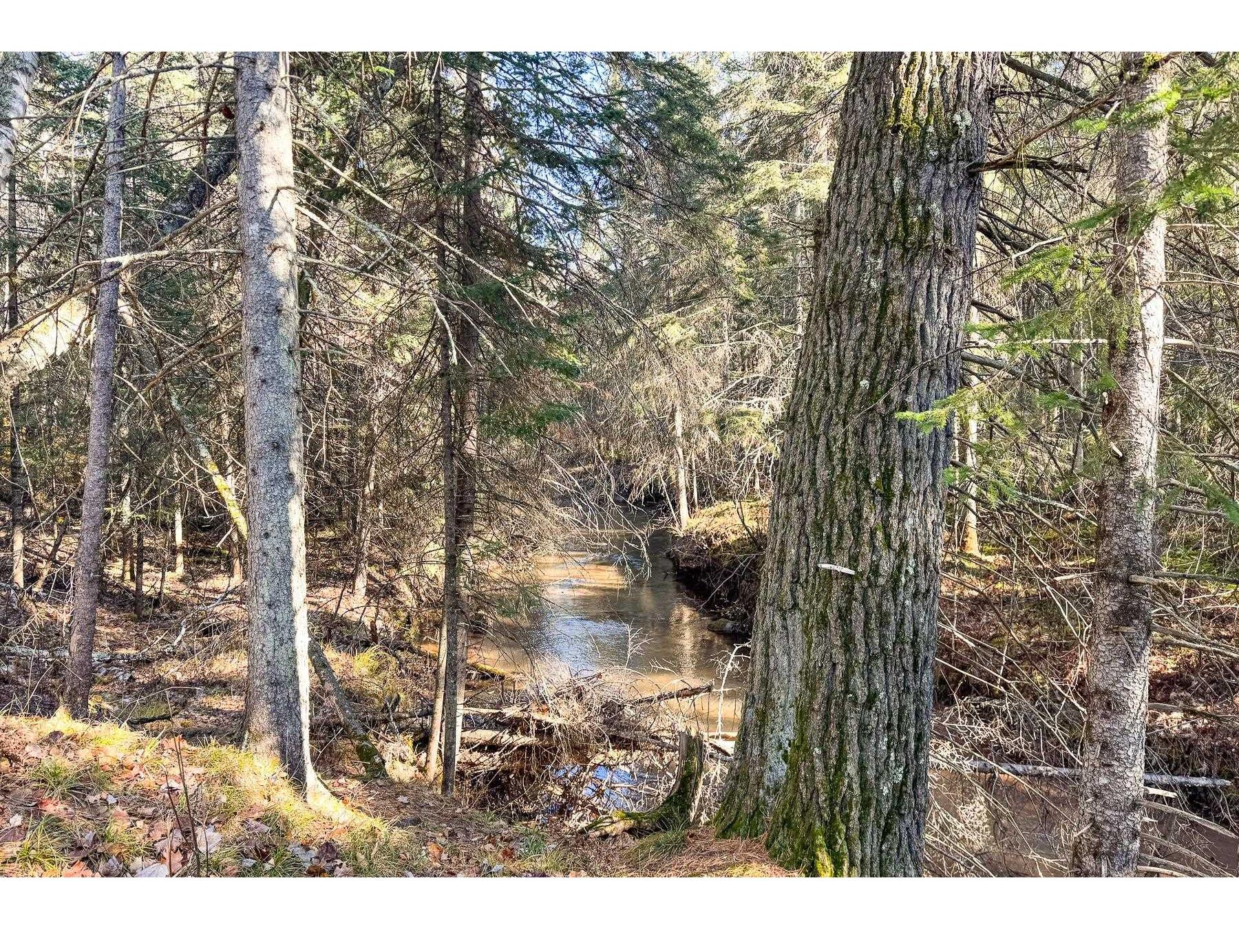 XXX Lenawee Rd Herbster WI 54844 - East Fork Cranberry River 6118678 image16