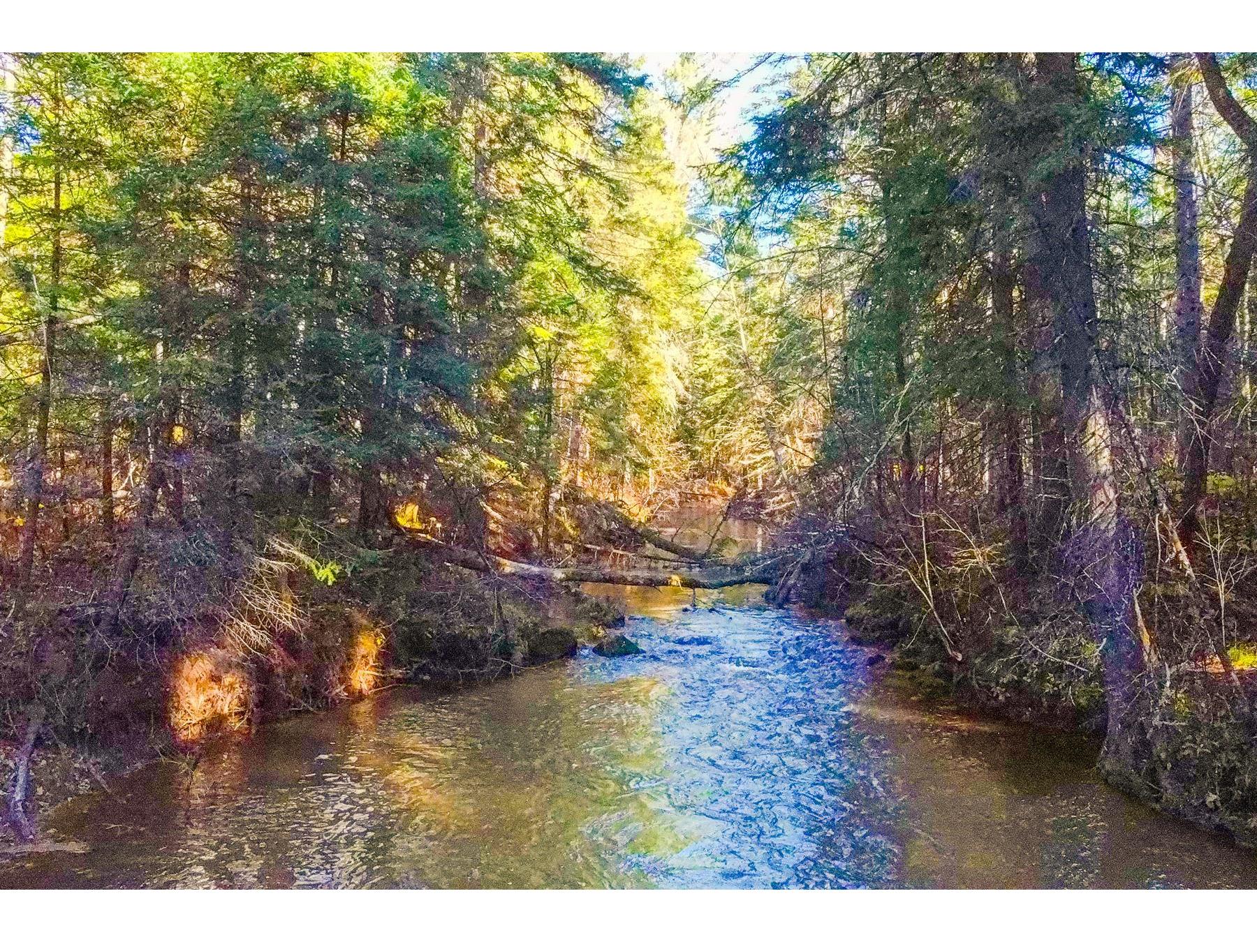 XXX Lenawee Rd Herbster WI 54844 - East Fork Cranberry River 6118678 image22