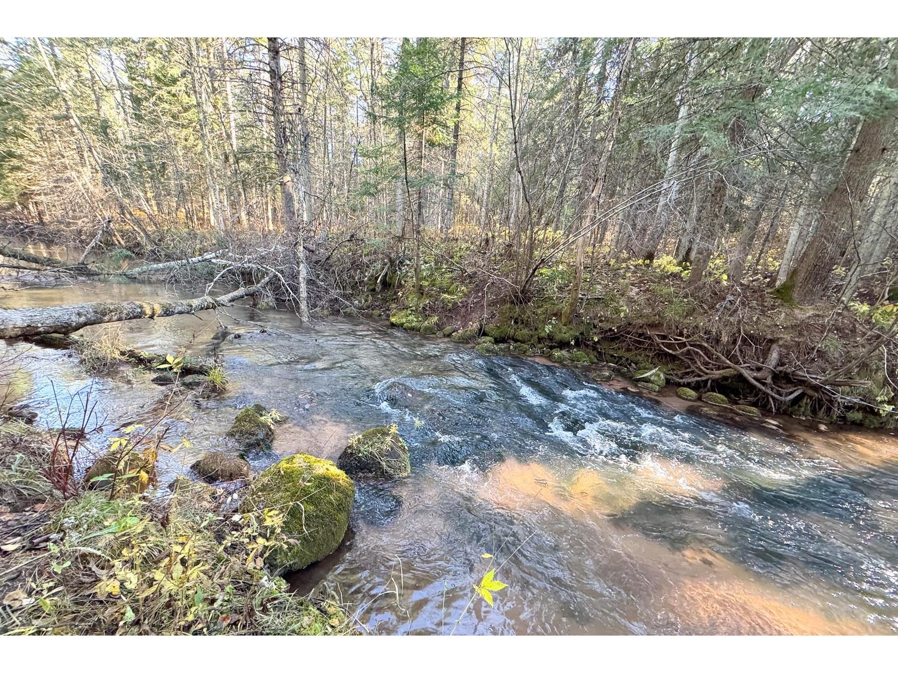 XXX Lenawee Rd Herbster WI 54844 - East Fork Cranberry River 6118678 image23