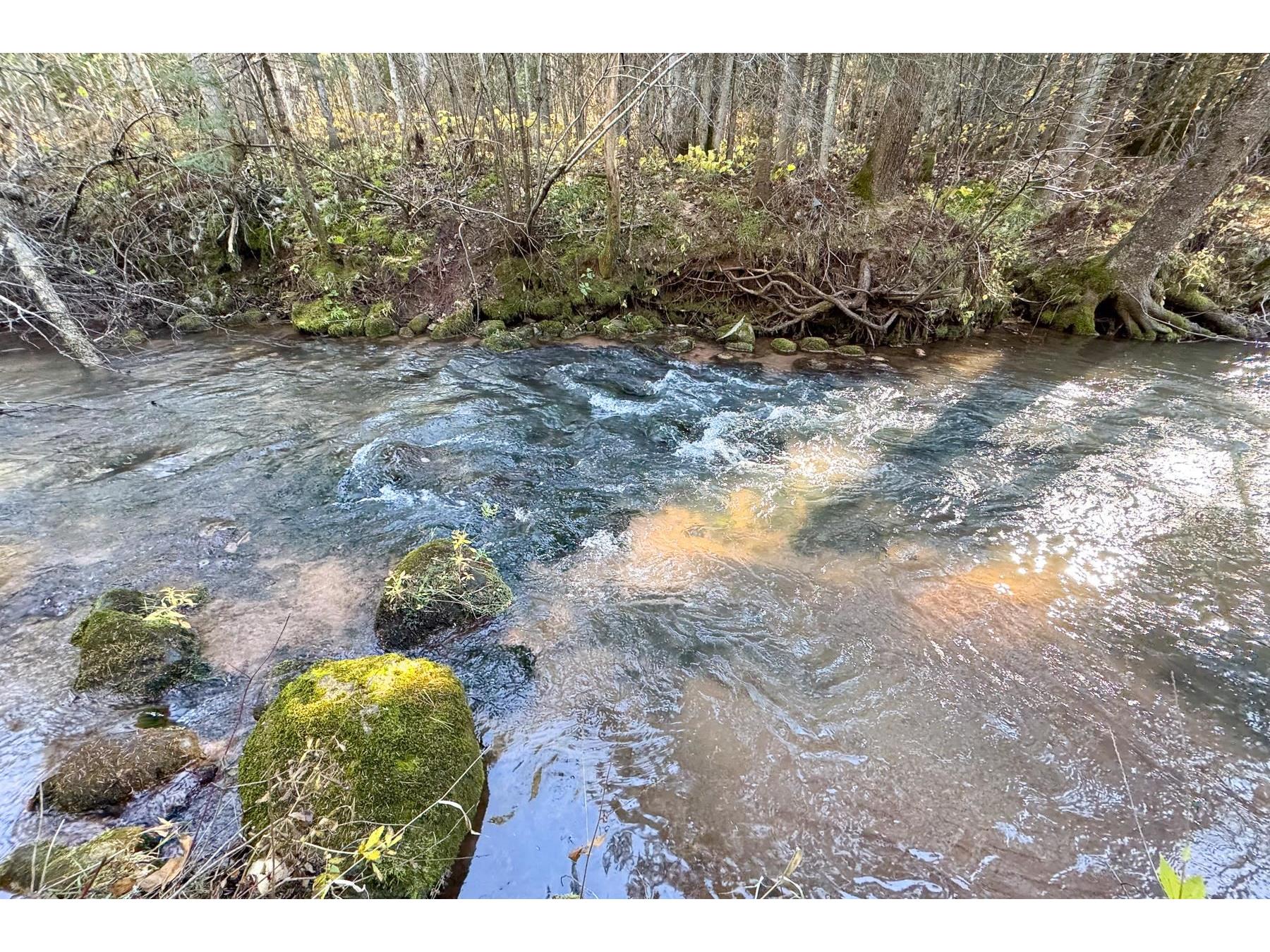 XXX Lenawee Rd Herbster WI 54844 - East Fork Cranberry River 6118678 image24