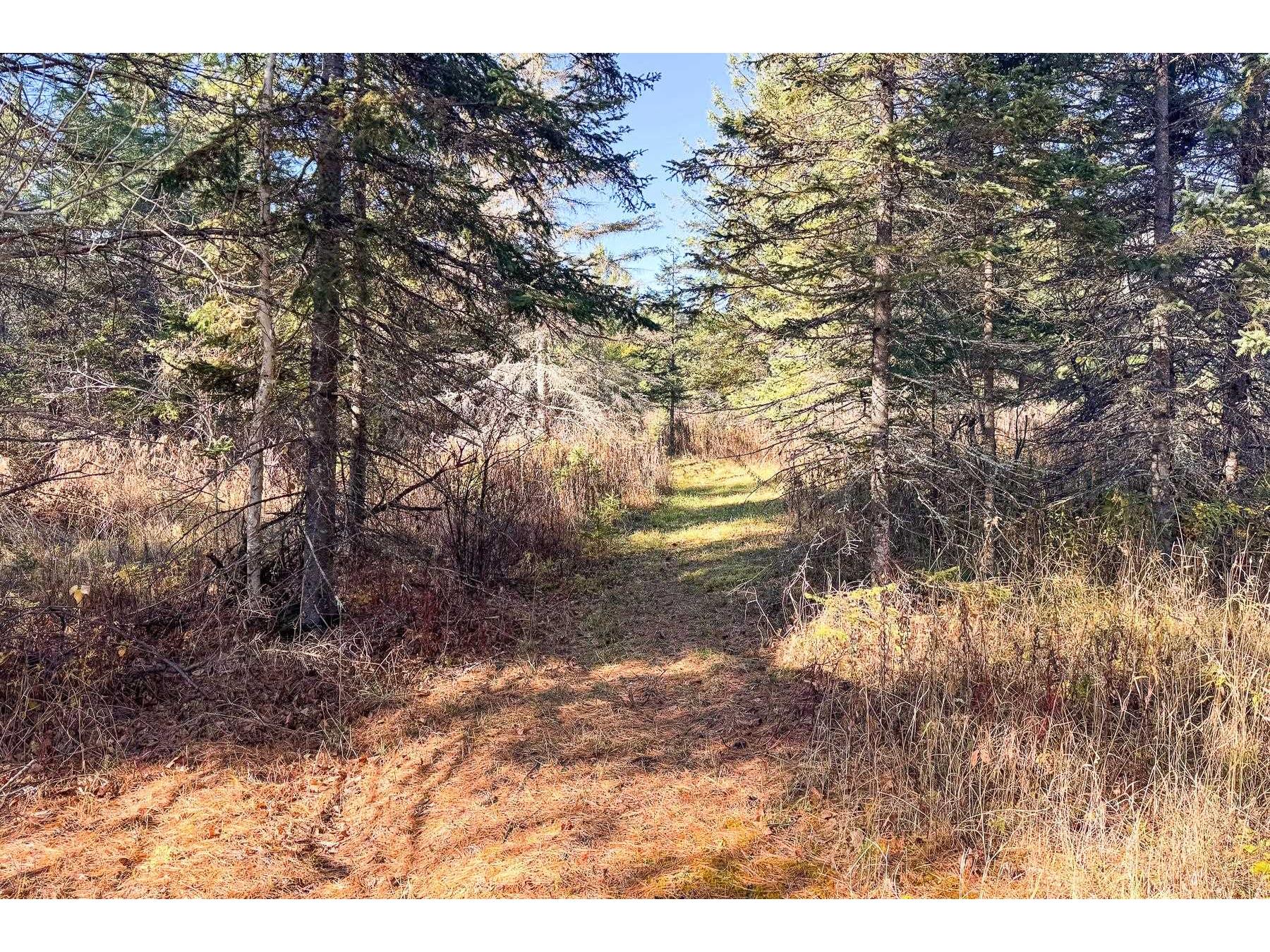 XXX Lenawee Rd Herbster WI 54844 - East Fork Cranberry River 6118678 image6