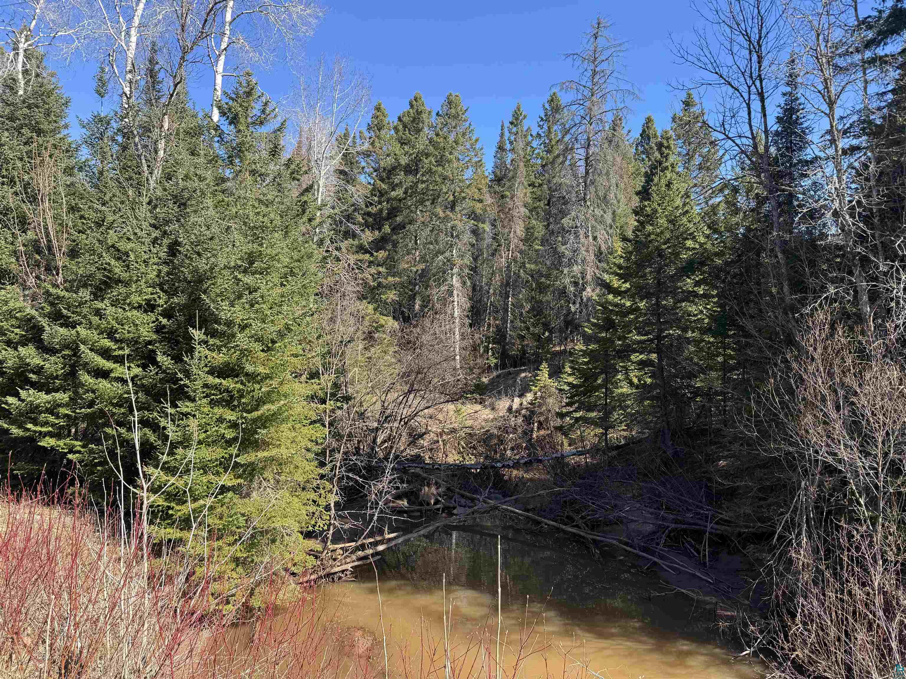 XXX Lund Rd Maple WI 54854 6125164 image1