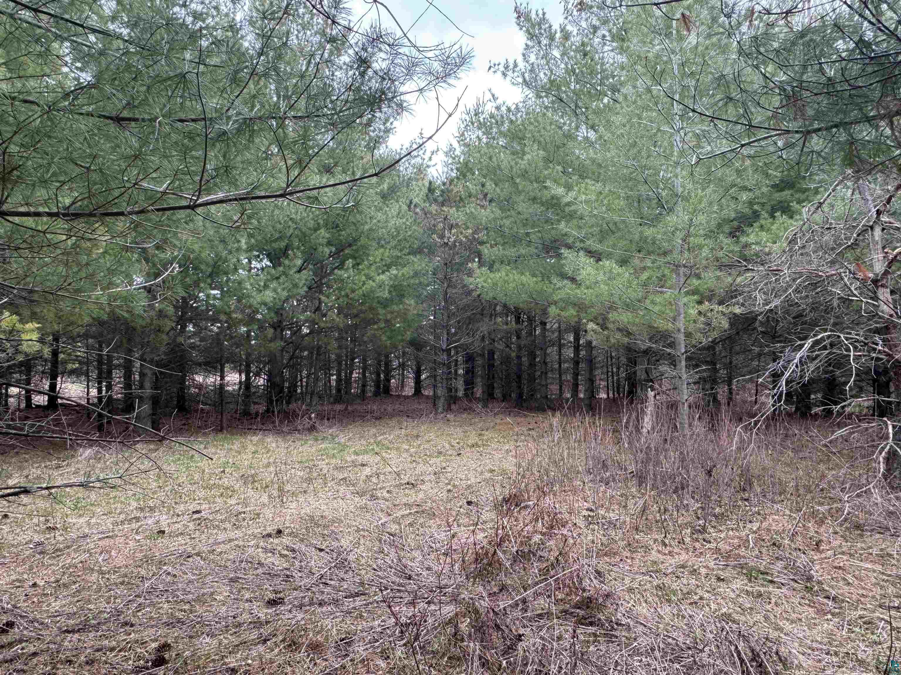 XXX Lund Rd Maple WI 54854 6125164 image10