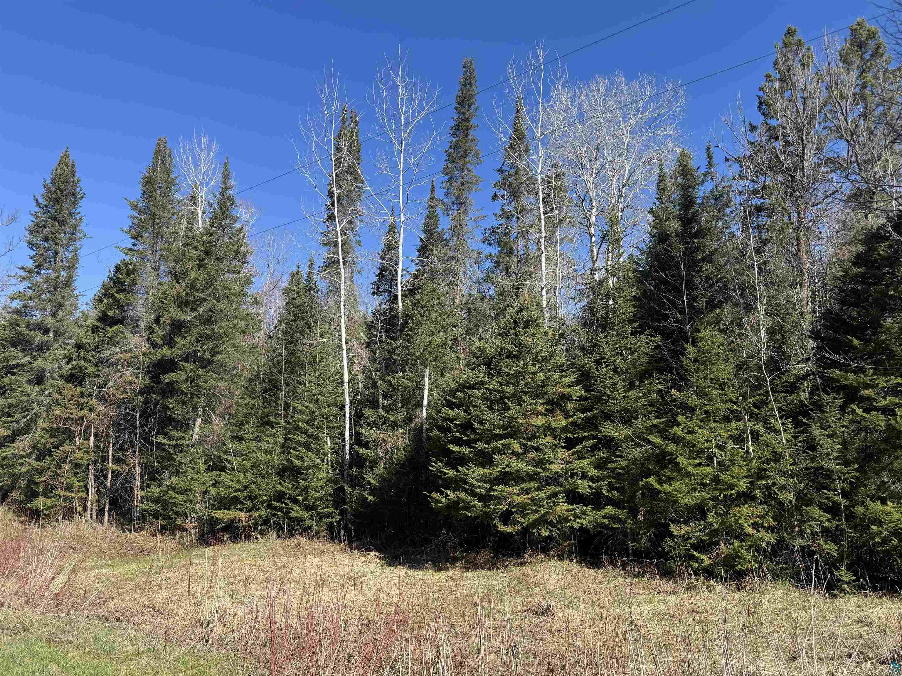 XXX Lund Rd Maple WI 54854 6125164 image2