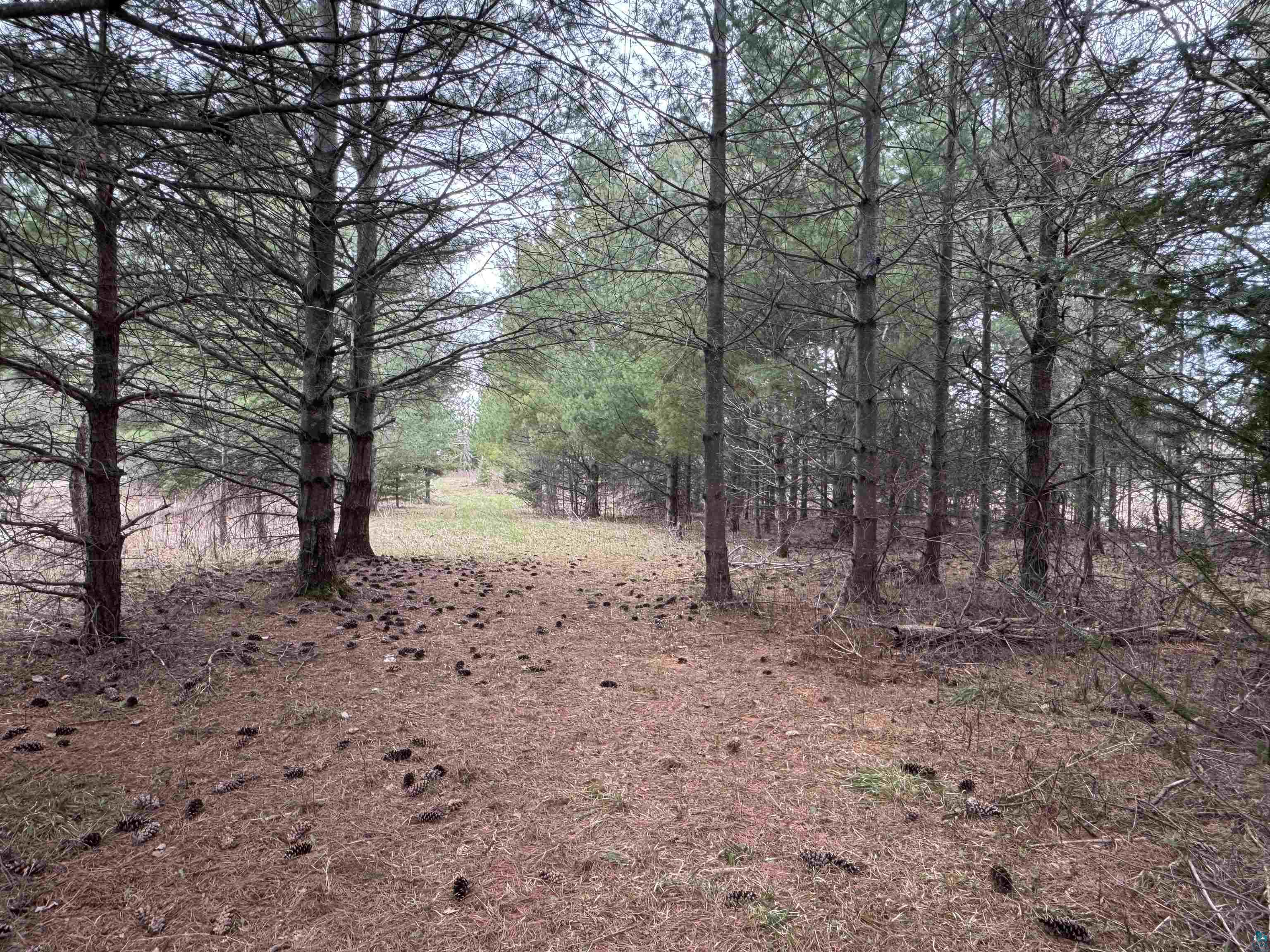 XXX Lund Rd Maple WI 54854 6125164 image4