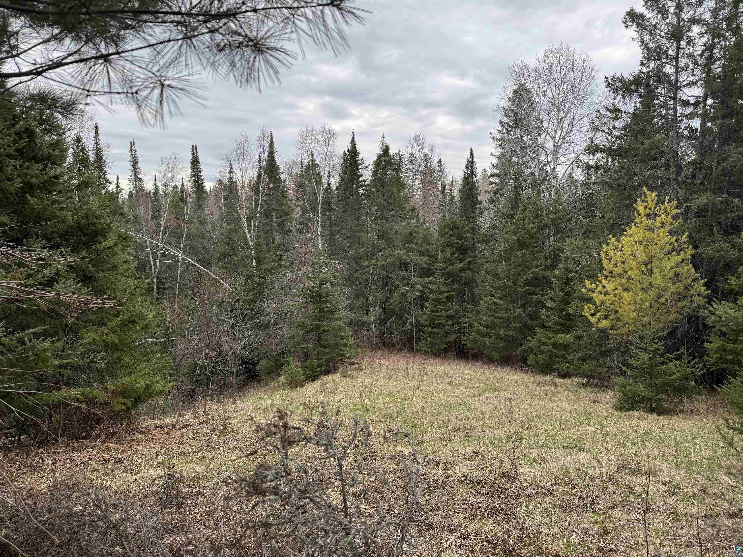 XXX Lund Rd Maple WI 54854 6125164 image5
