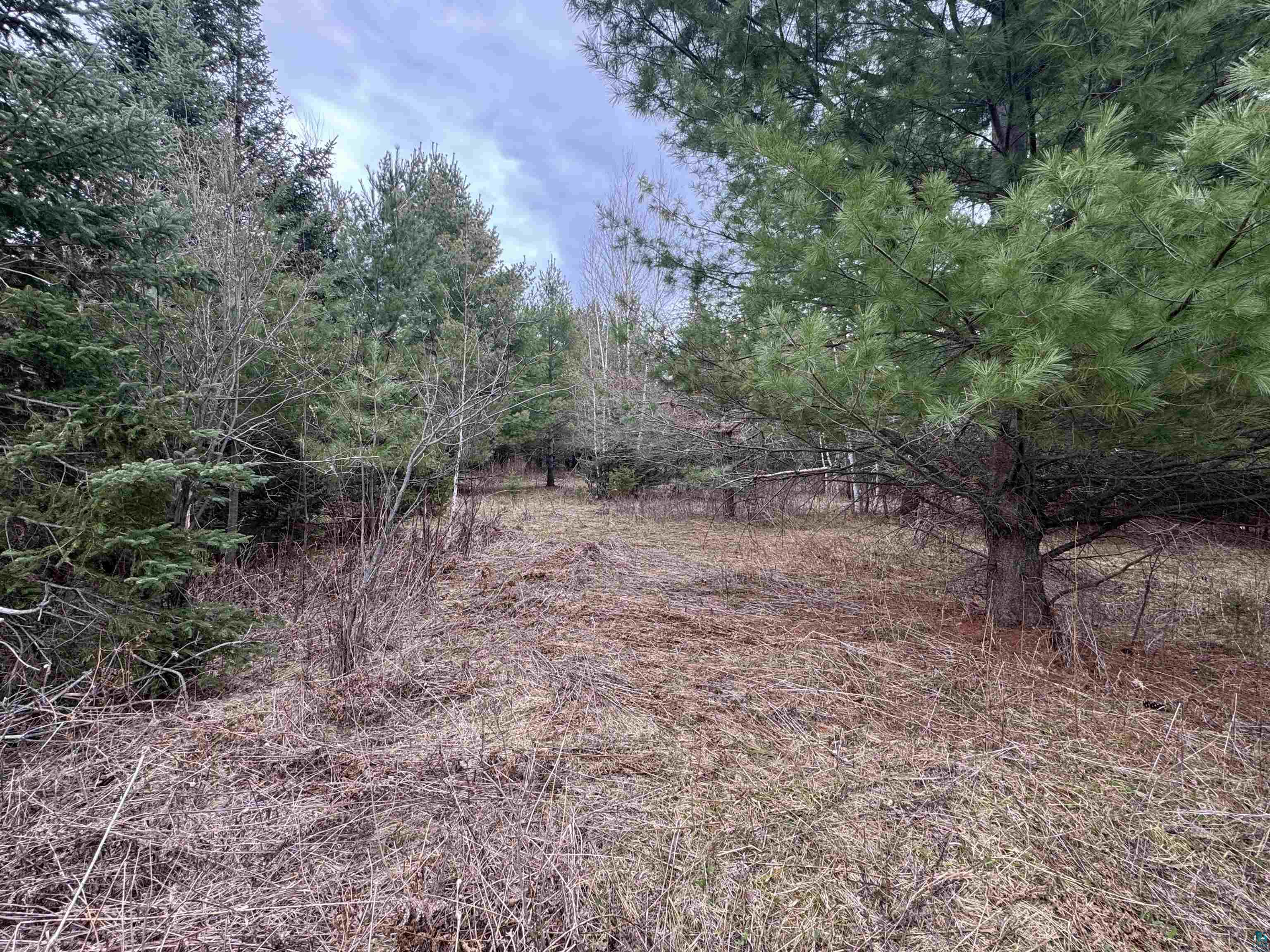 XXX Lund Rd Maple WI 54854 6125164 image9