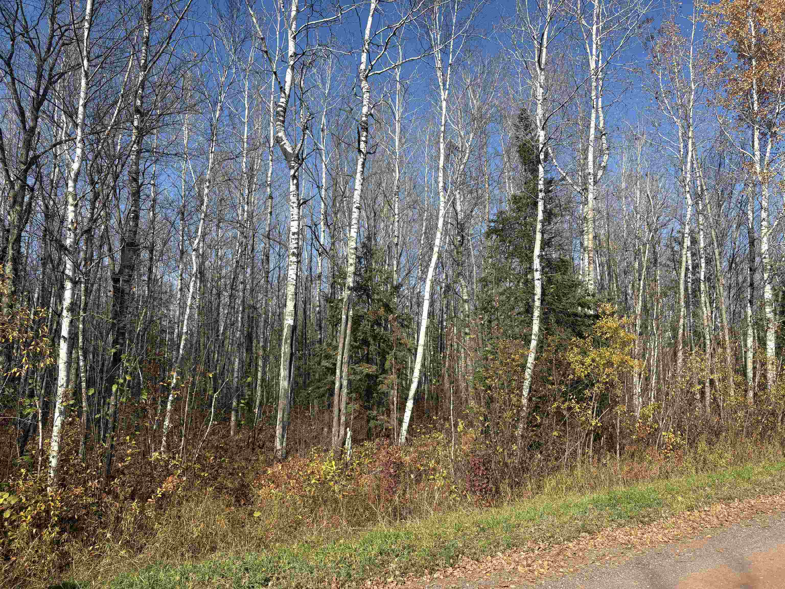 XXX Madigan Rd Odanah WI 54861 6122732 image2