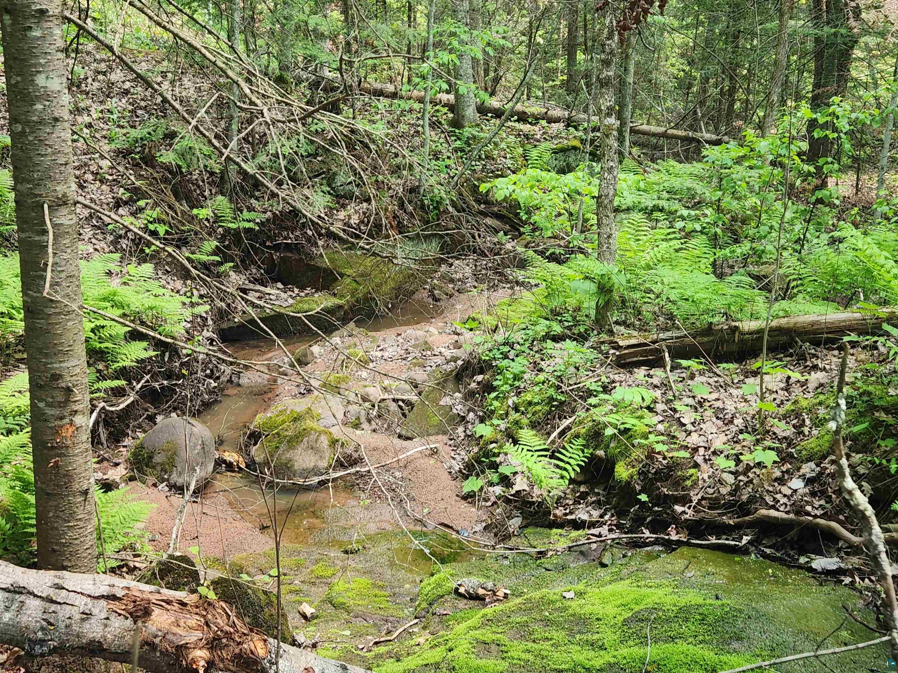 XXX McCulloch Rd Washburn WI 54891 6119920 image1