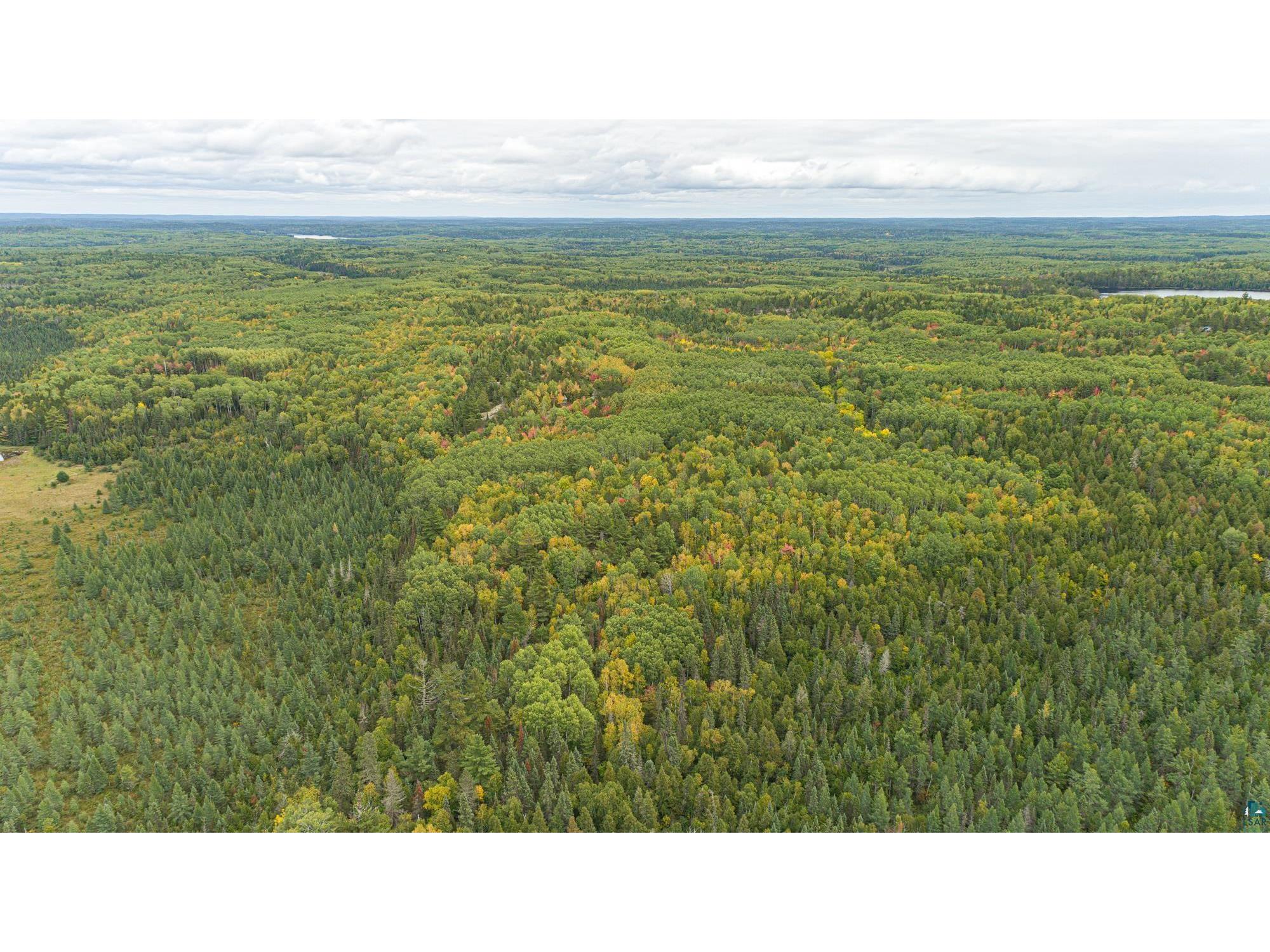 XXX Meander Lake Rd Ely MN 55731 6110567 image1