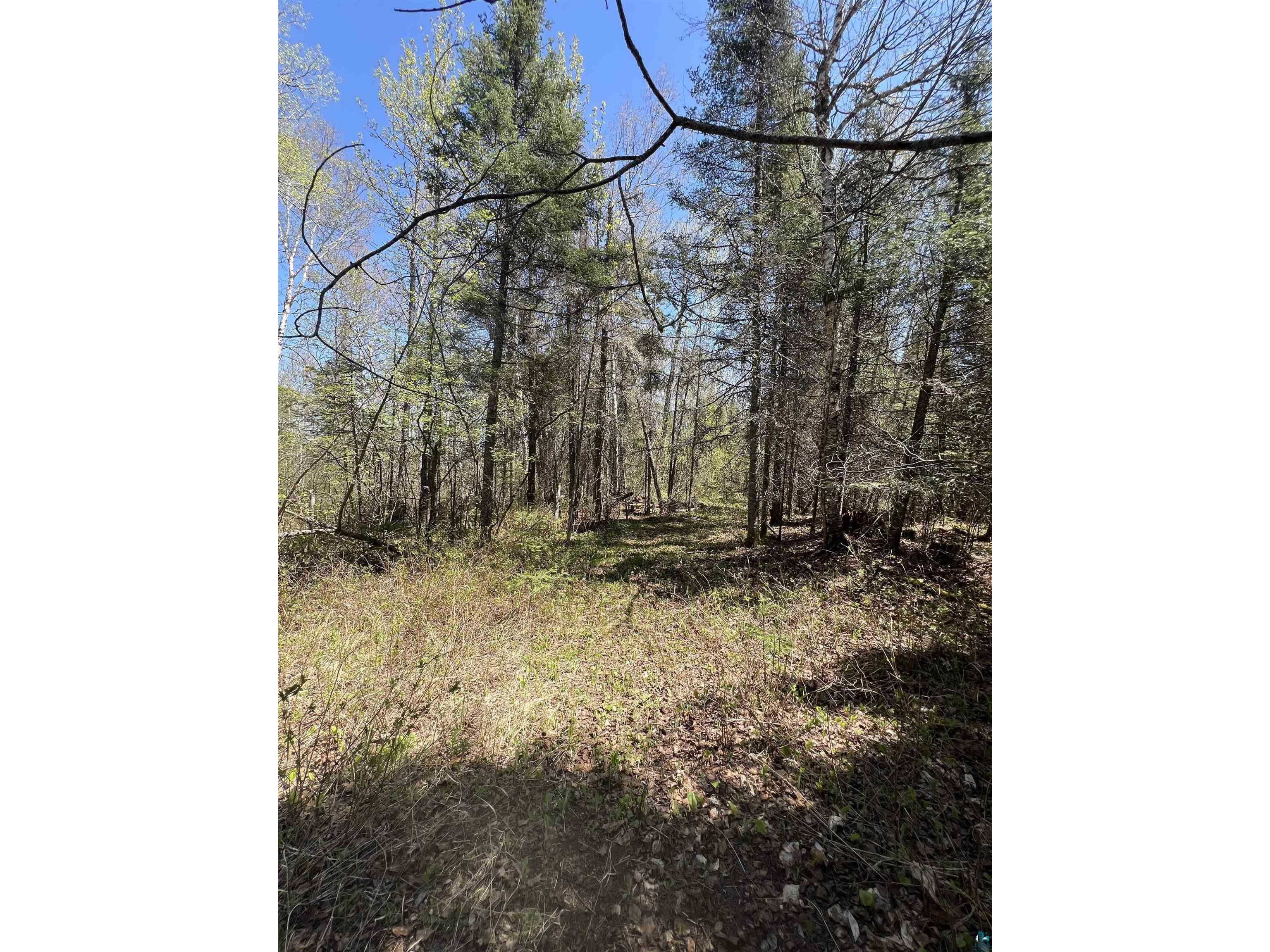 XXX Moose Ridge Rd Isabella MN 55607 - Little Isabella River 6125854 image10