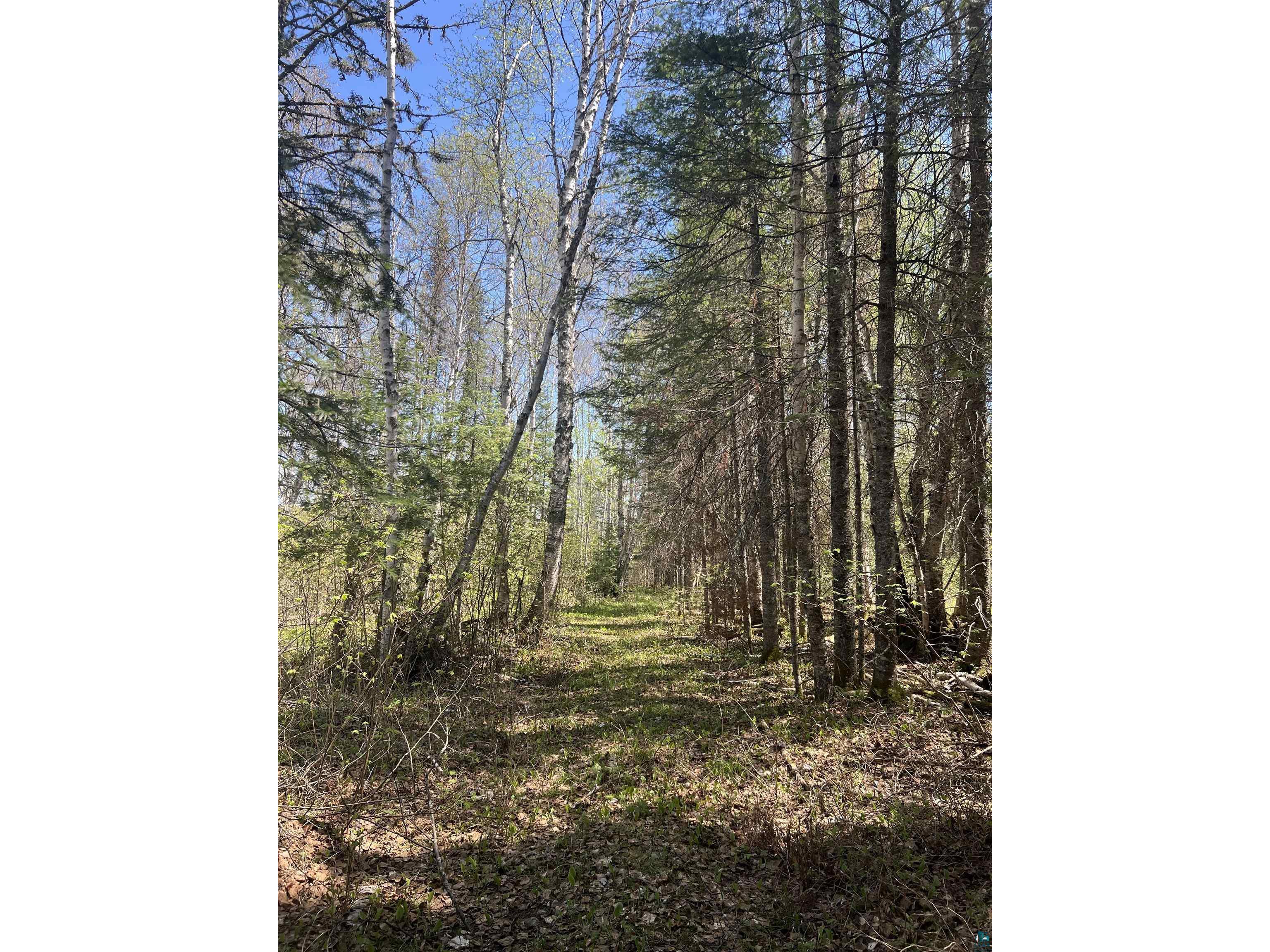 XXX Moose Ridge Rd Isabella MN 55607 - Little Isabella River 6125854 image11