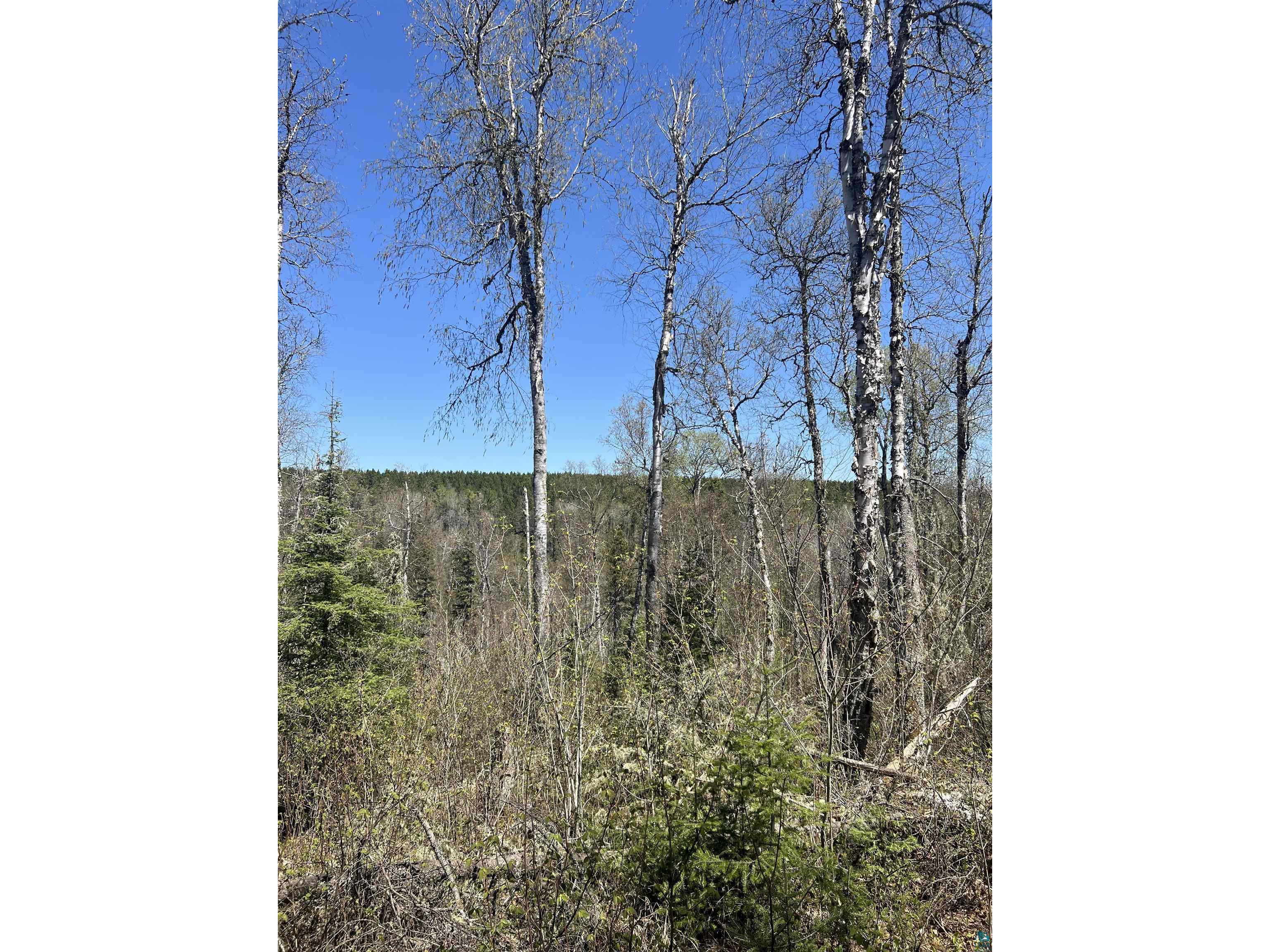 XXX Moose Ridge Rd Isabella MN 55607 - Little Isabella River 6125854 image13