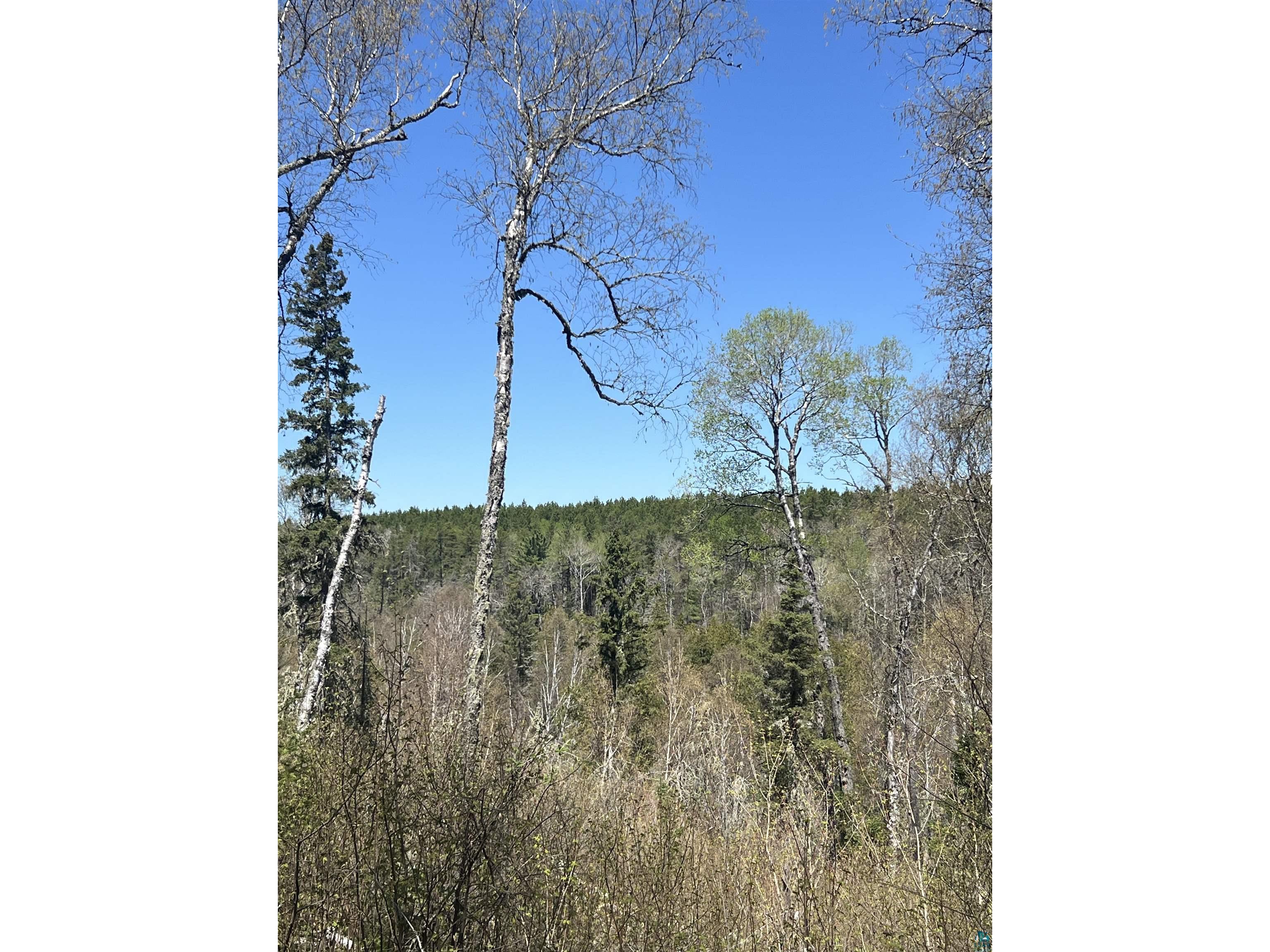 XXX Moose Ridge Rd Isabella MN 55607 - Little Isabella River 6125854 image14