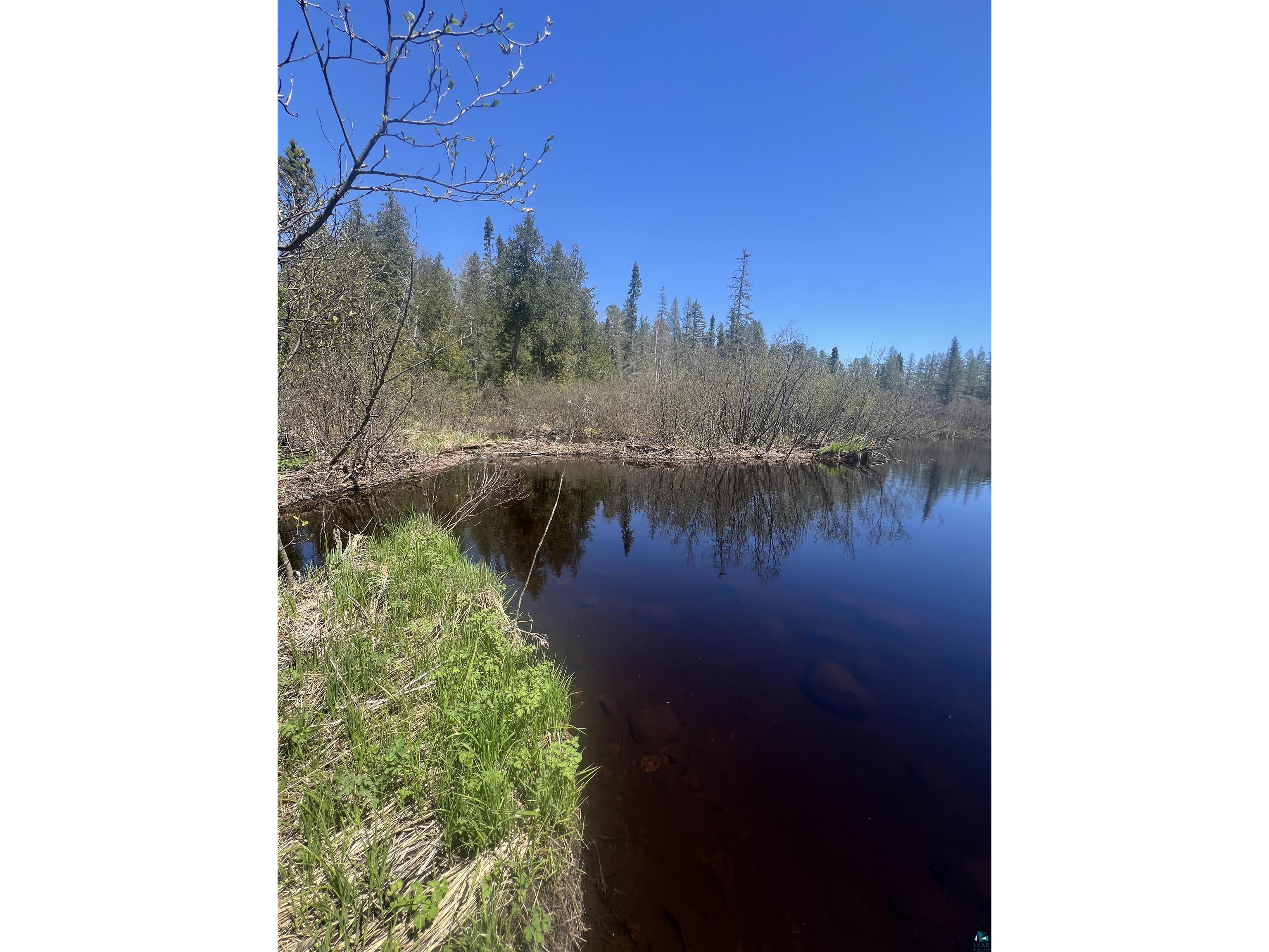XXX Moose Ridge Rd Isabella MN 55607 - Little Isabella River 6125854 image2
