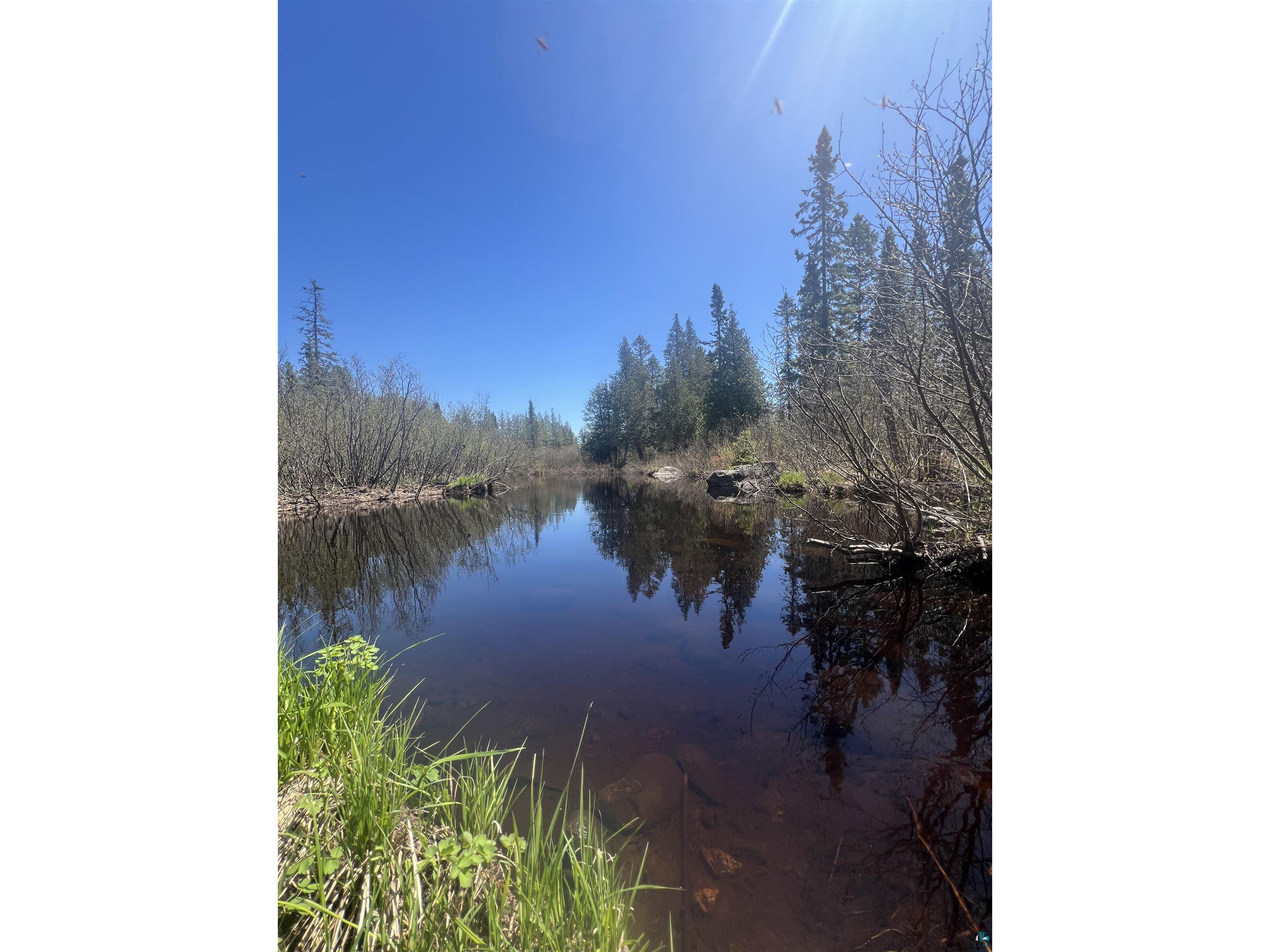 XXX Moose Ridge Rd Isabella MN 55607 - Little Isabella River 6125854 image3