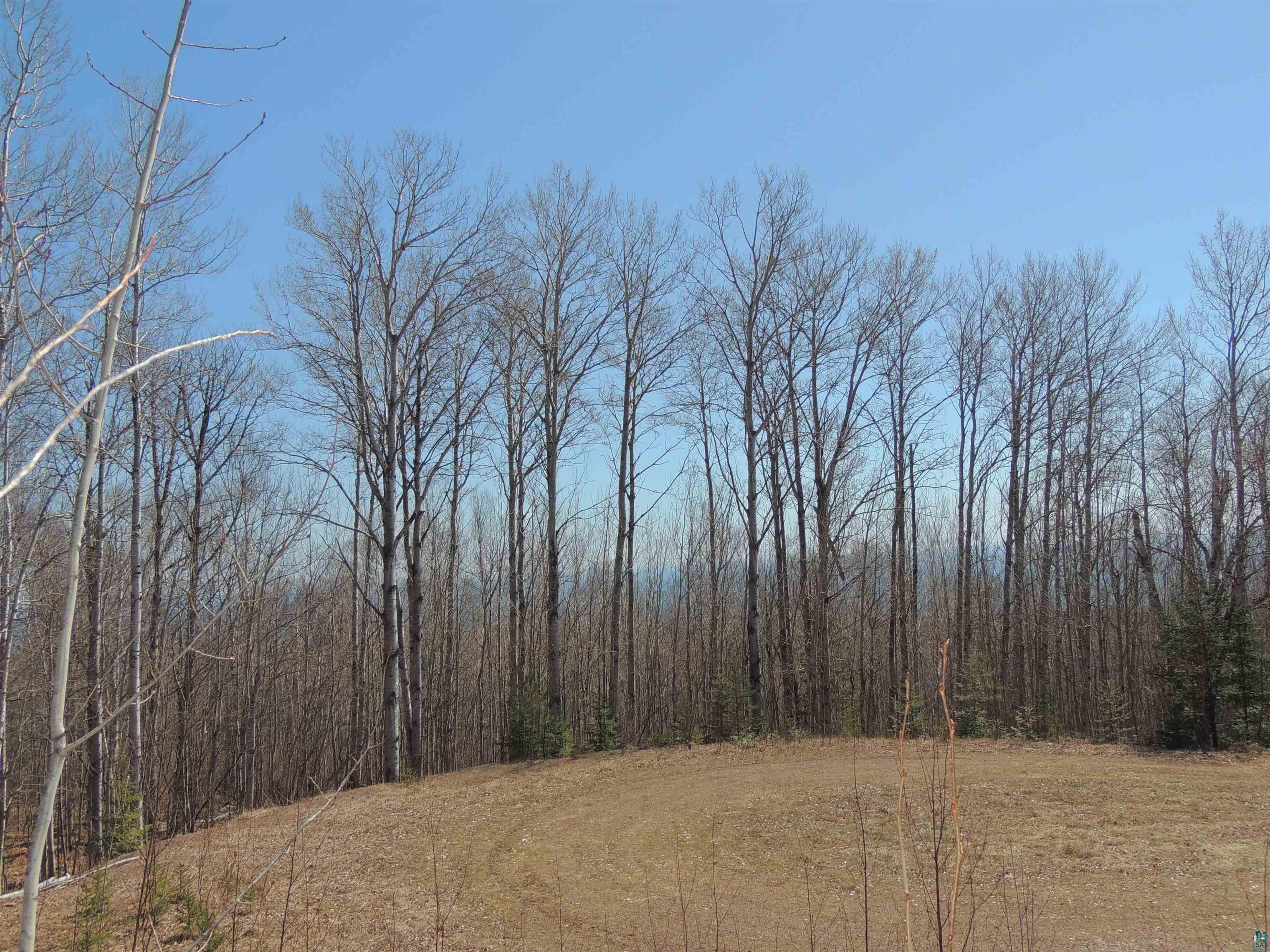 XXX Mountain Trail Grand Marais MN 55604 6113375 image1