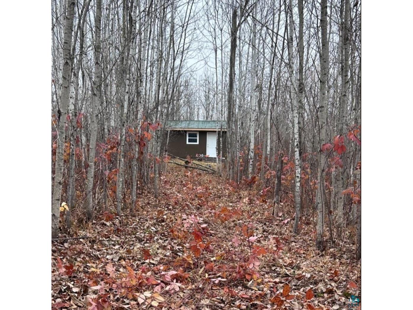 XXX Mt Nelson Rd Mahtowa MN 55707 6126122 image1