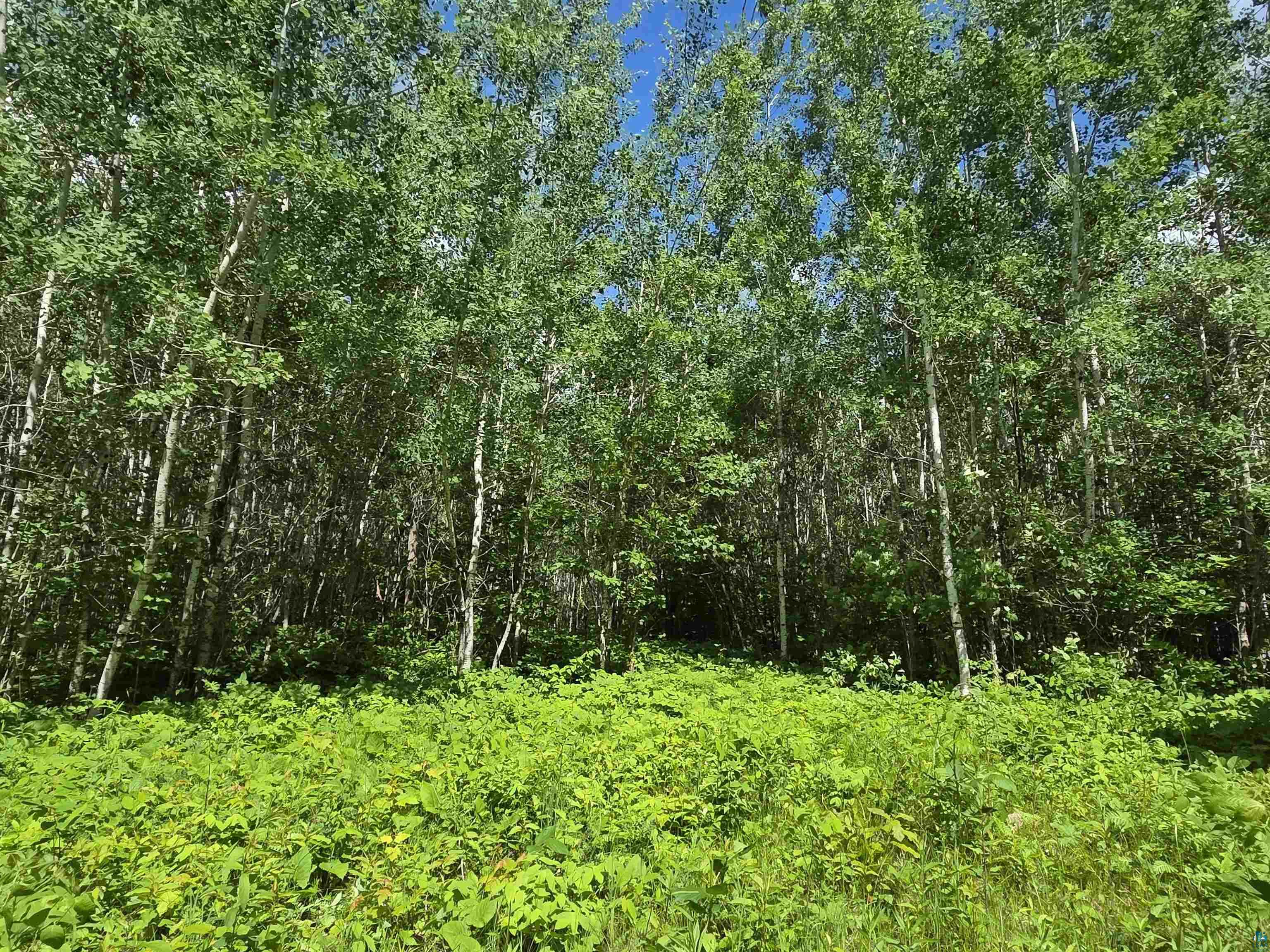 XXX Mt Nelson Rd Mahtowa MN 55707 6126122 image14