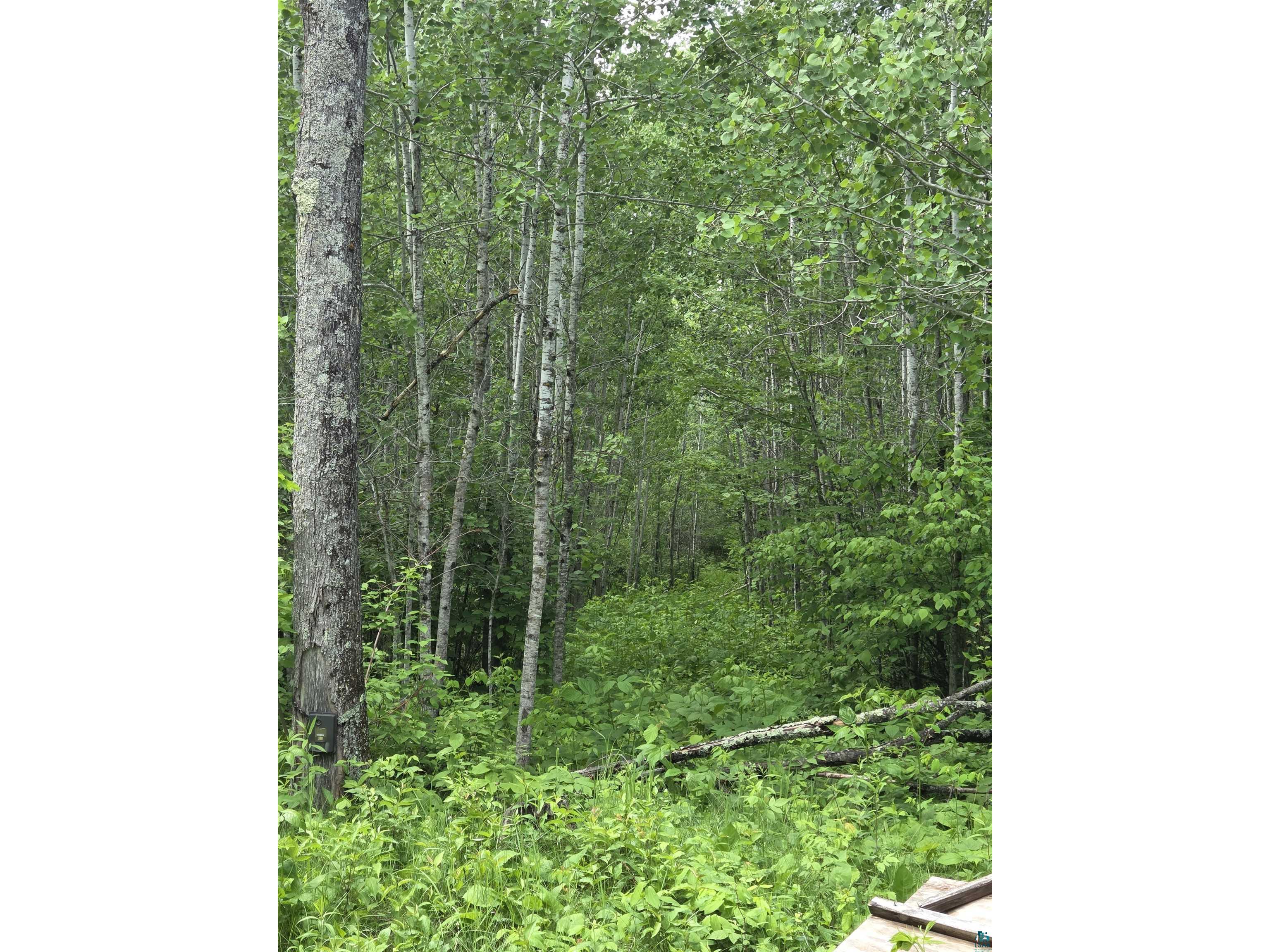 XXX Mt Nelson Rd Mahtowa MN 55707 6126122 image16