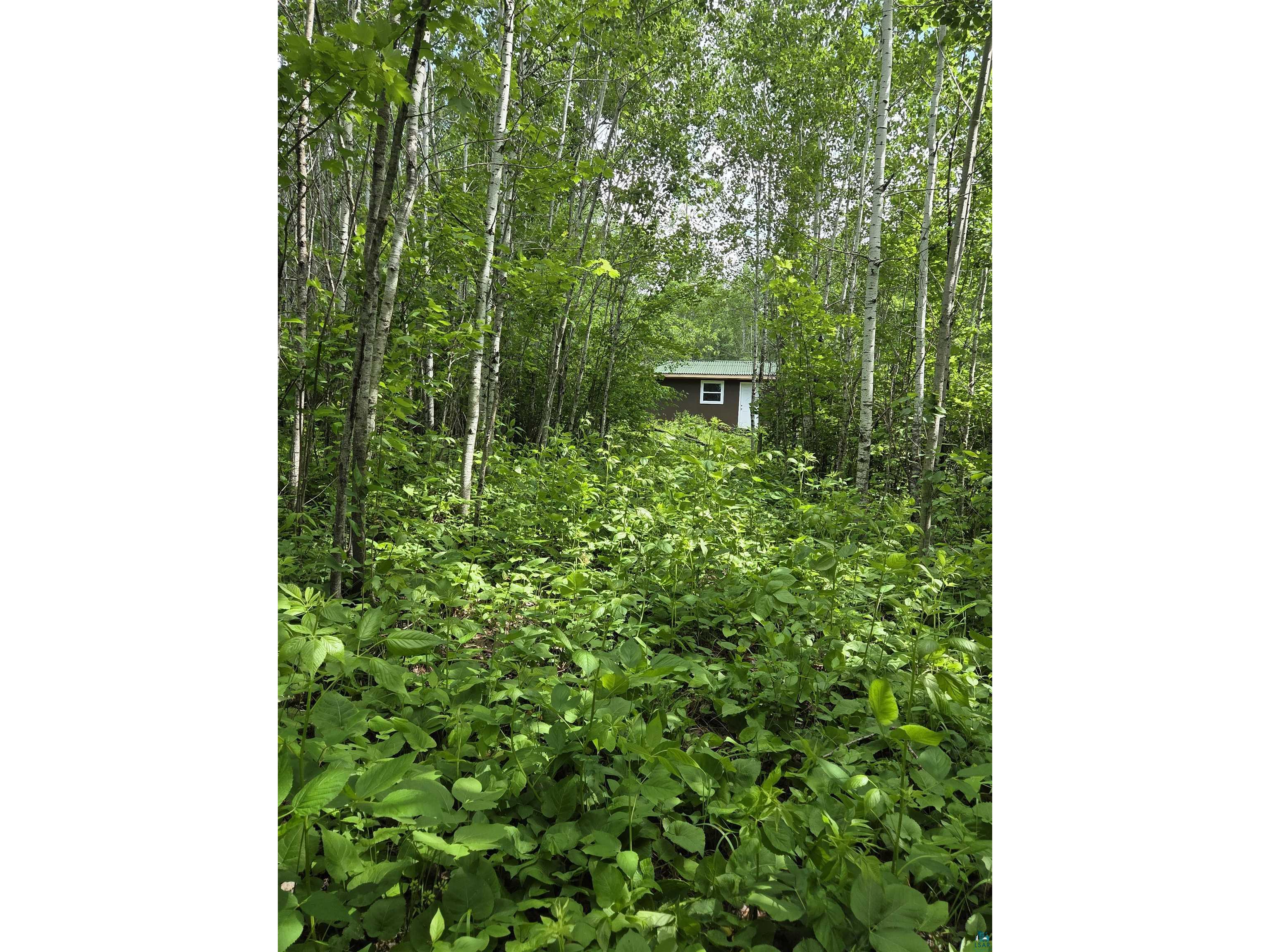 XXX Mt Nelson Rd Mahtowa MN 55707 6126122 image2