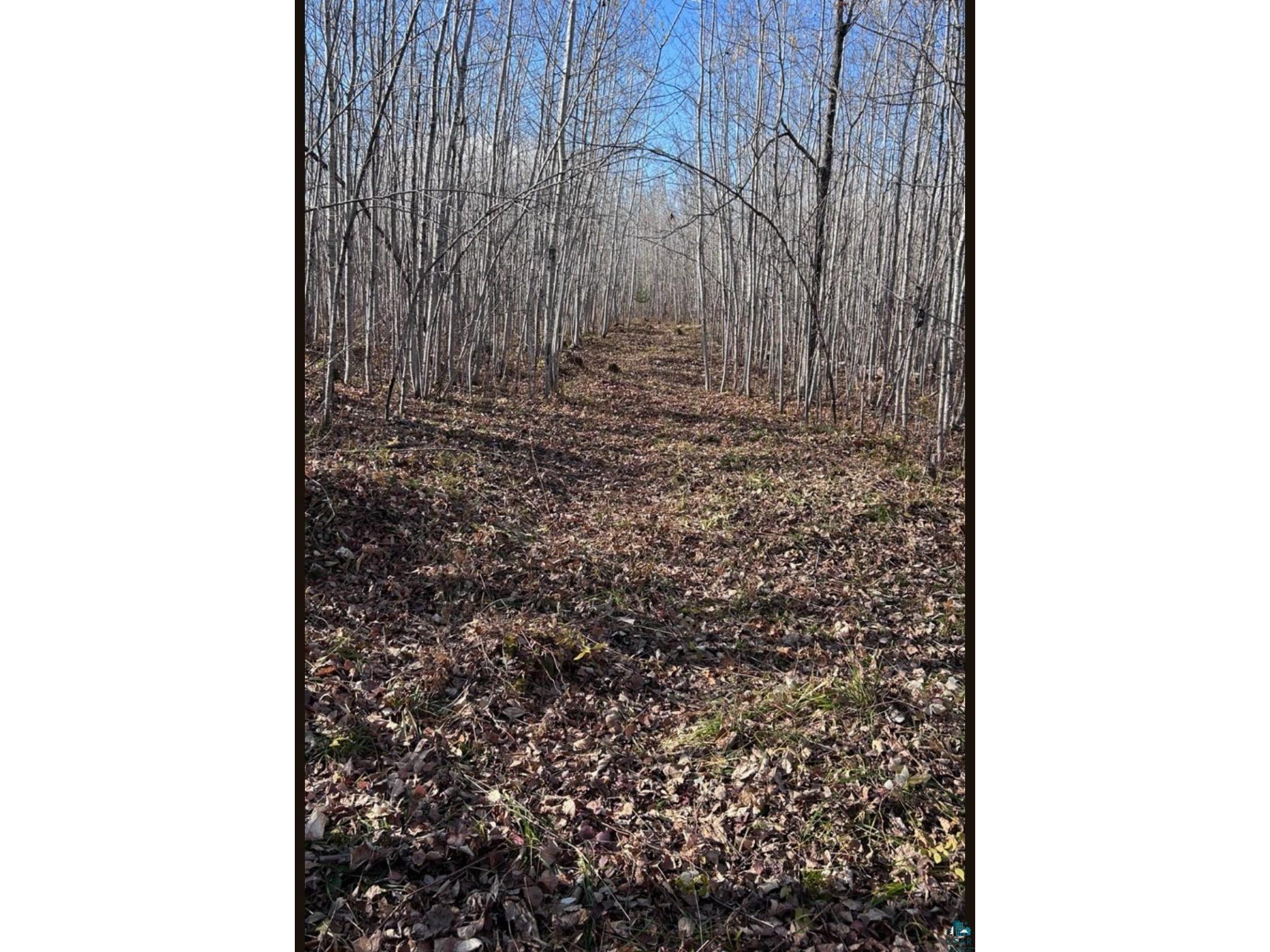 XXX Mt Nelson Rd Mahtowa MN 55707 6126122 image3