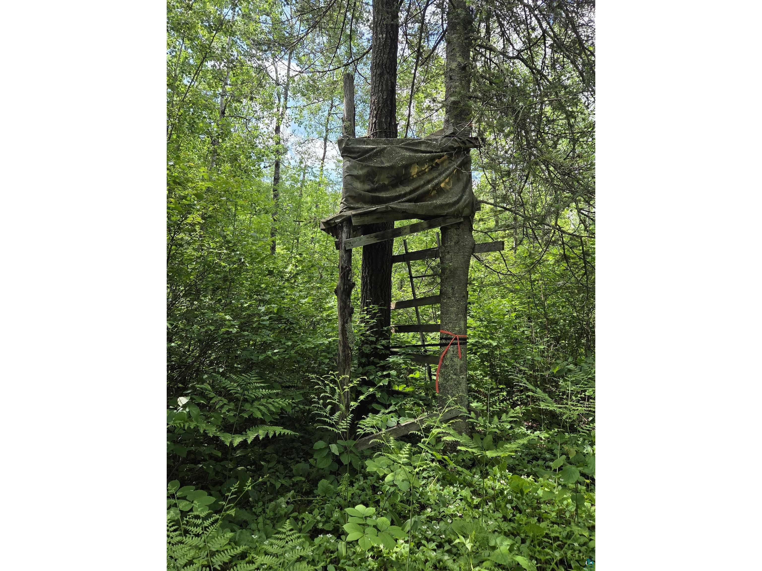 XXX Mt Nelson Rd Mahtowa MN 55707 6126122 image4