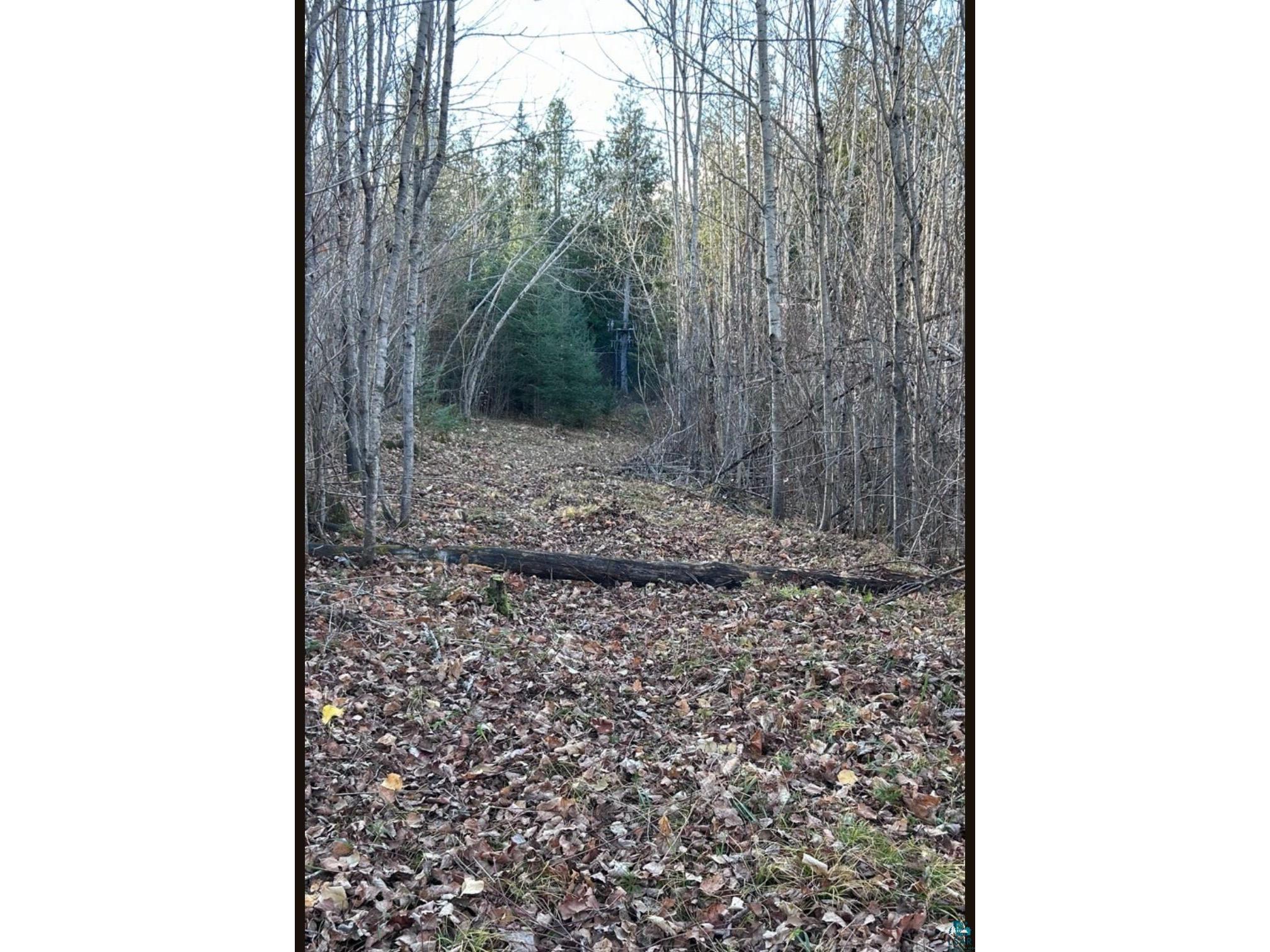 XXX Mt Nelson Rd Mahtowa MN 55707 6126122 image7