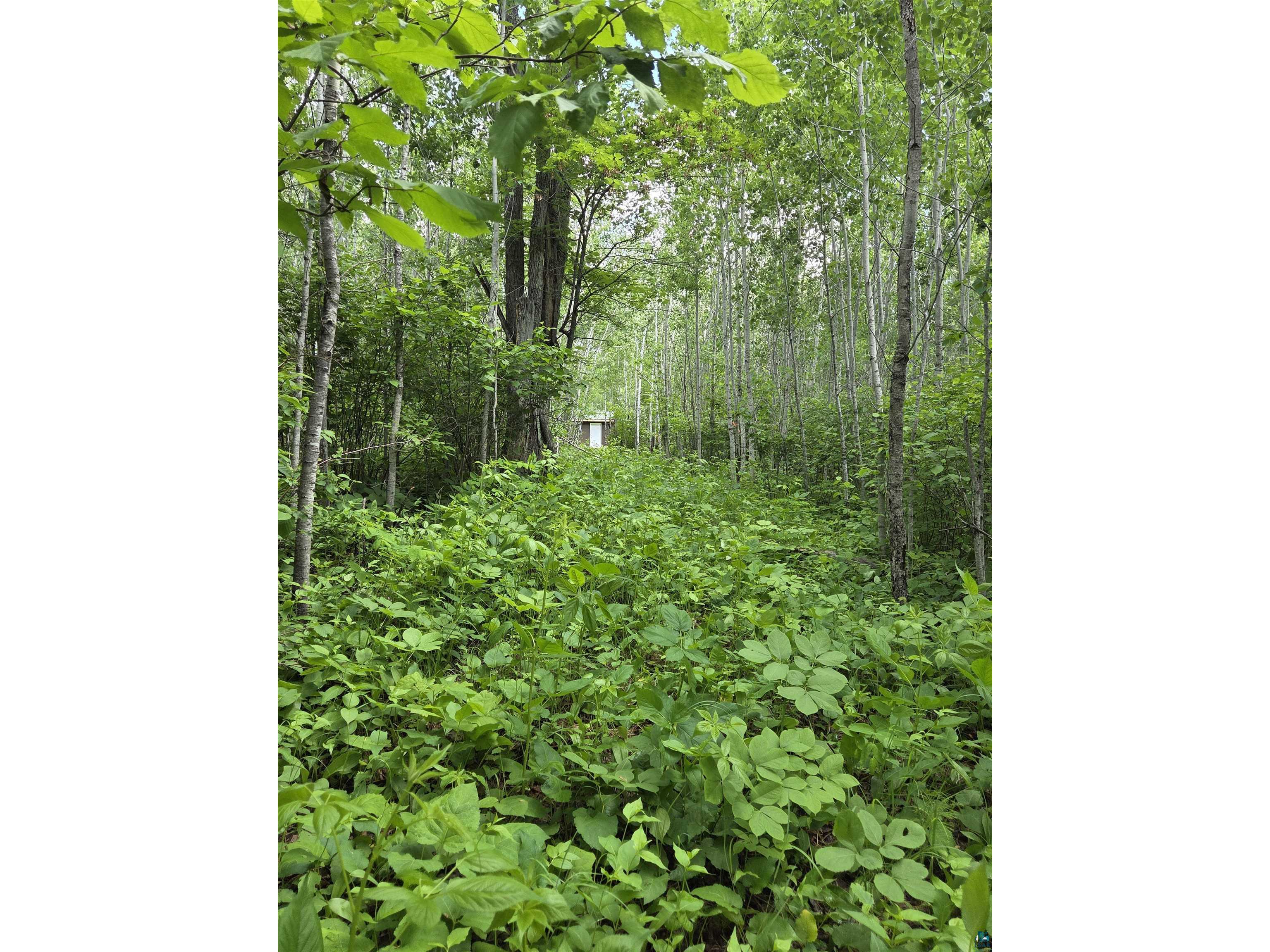 XXX Mt Nelson Rd Mahtowa MN 55707 6126122 image8