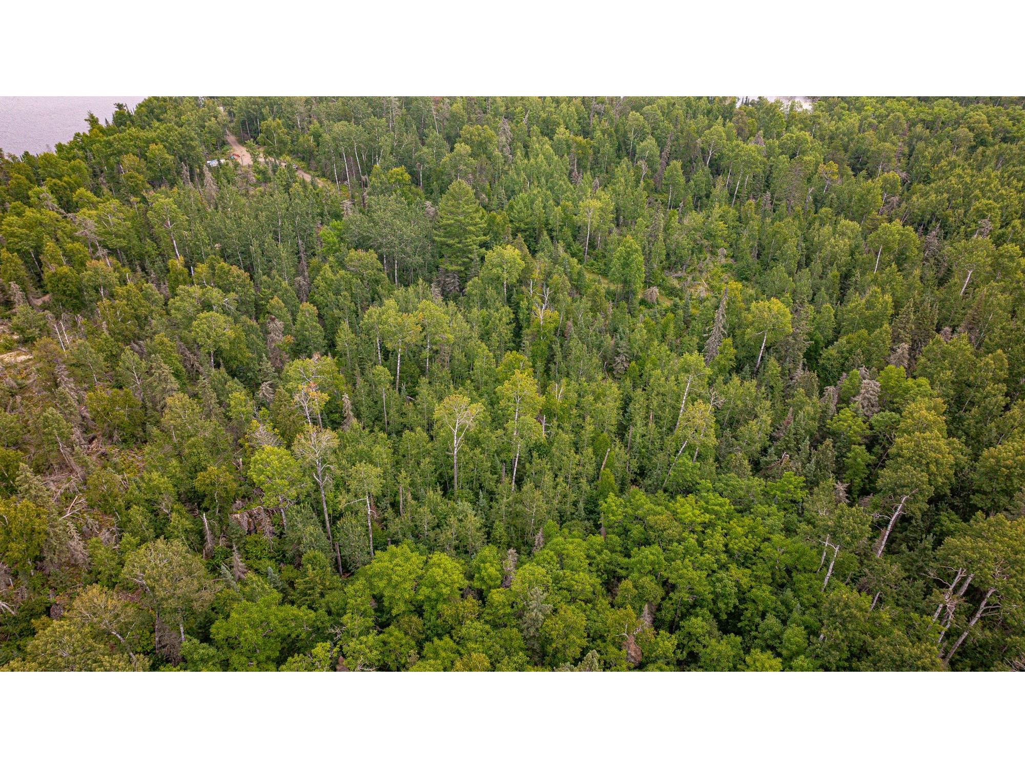 XXX Olson Bay Tr Ely MN 55731 - Shagawa Lake 6121227 image61