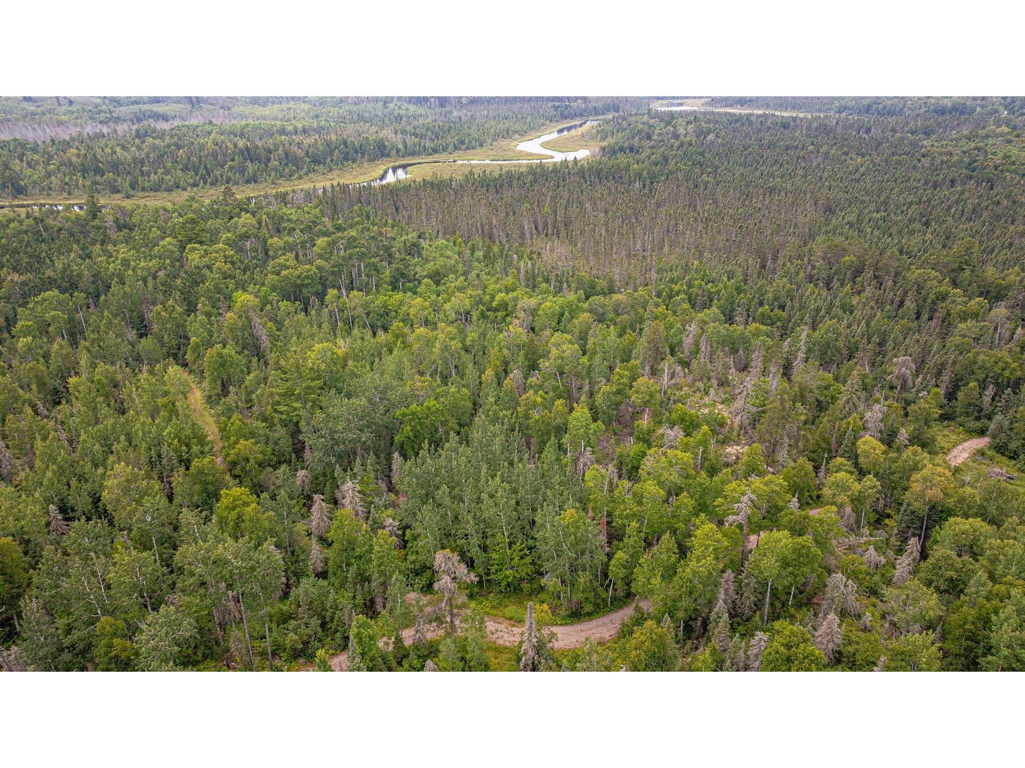 XXX Olson Bay Tr Ely MN 55731 - Shagawa Lake 6121227 image63