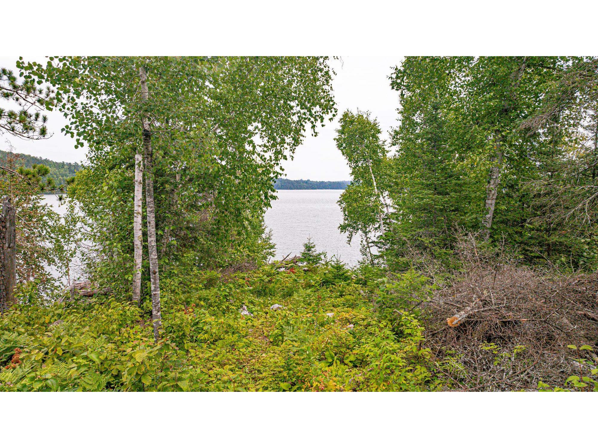 XXX Olson Bay Tr Ely MN 55731 - Shagawa Lake 6121227 image66