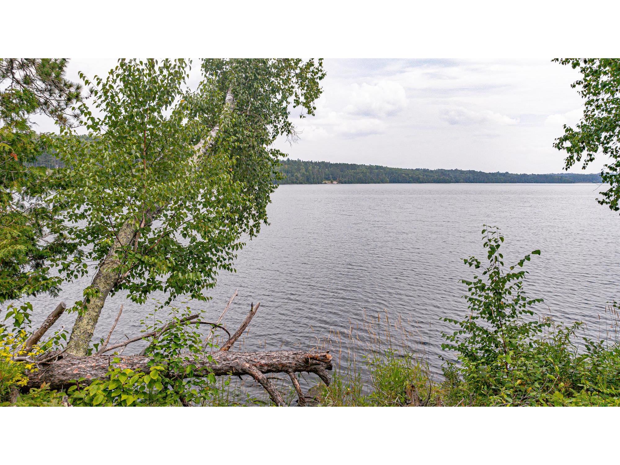 XXX Olson Bay Tr Ely MN 55731 - Shagawa Lake 6121227 image68