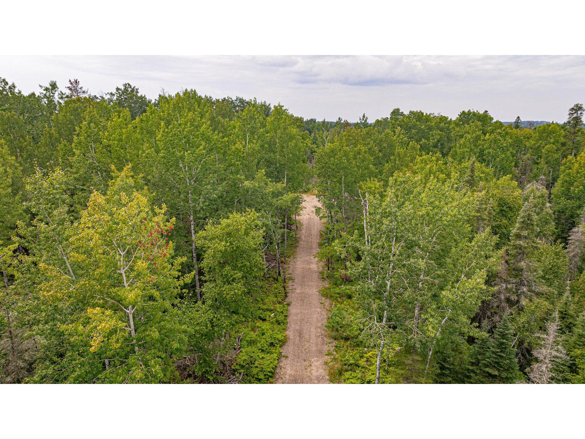 XXX Olson Bay Tr Ely MN 55731 - Shagawa Lake 6121227 image69