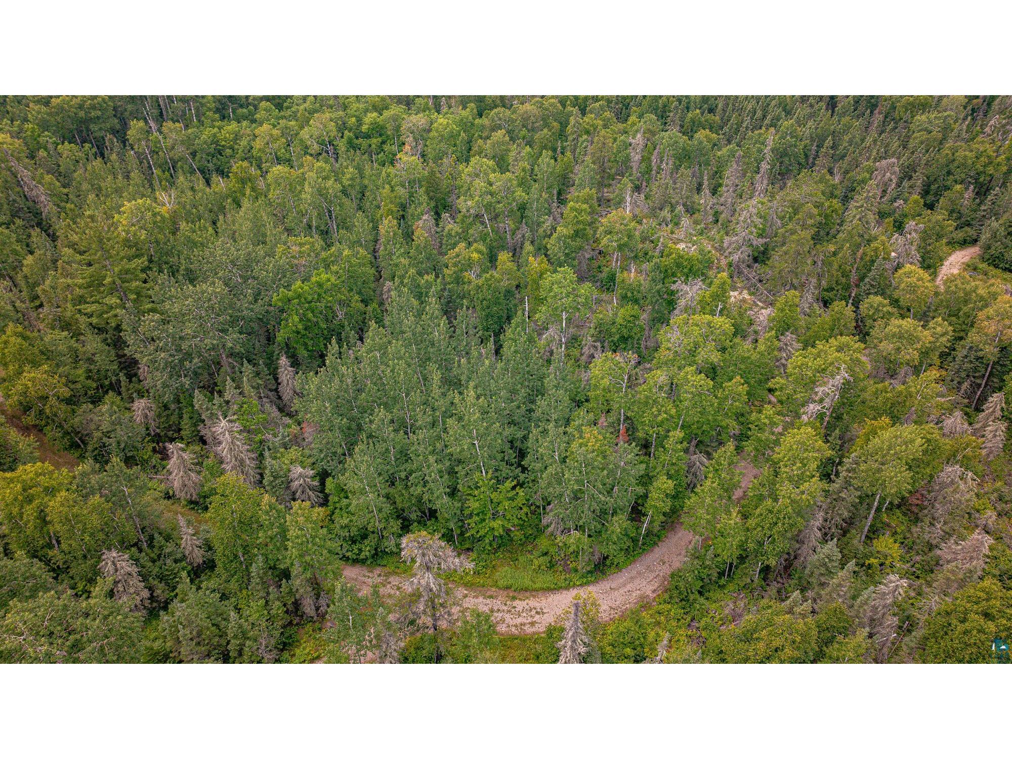 XXX Olson Bay Tr Ely MN 55731 - Shagawa Lake 6124409 image37