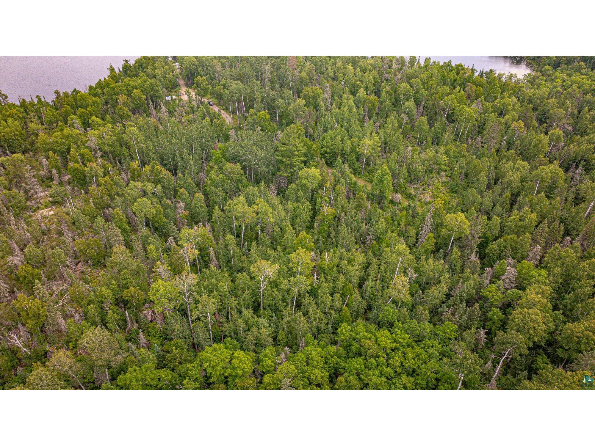 XXX Olson Bay Tr Ely MN 55731 - Shagawa Lake 6124409 image39