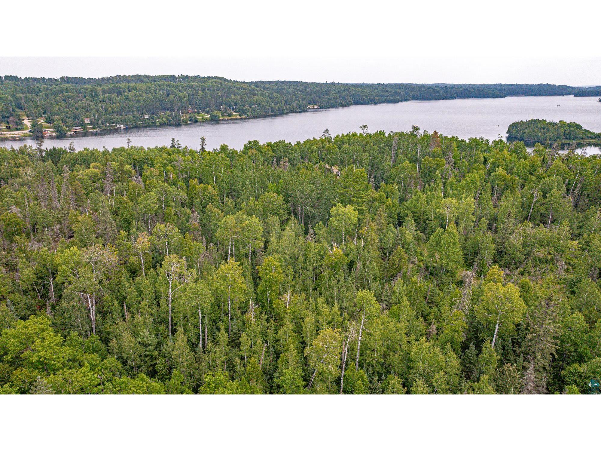 XXX Olson Bay Tr Ely MN 55731 - Shagawa Lake 6124409 image42